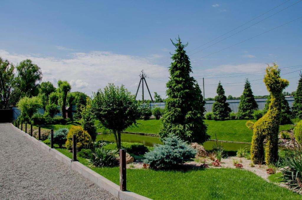 Photo 41