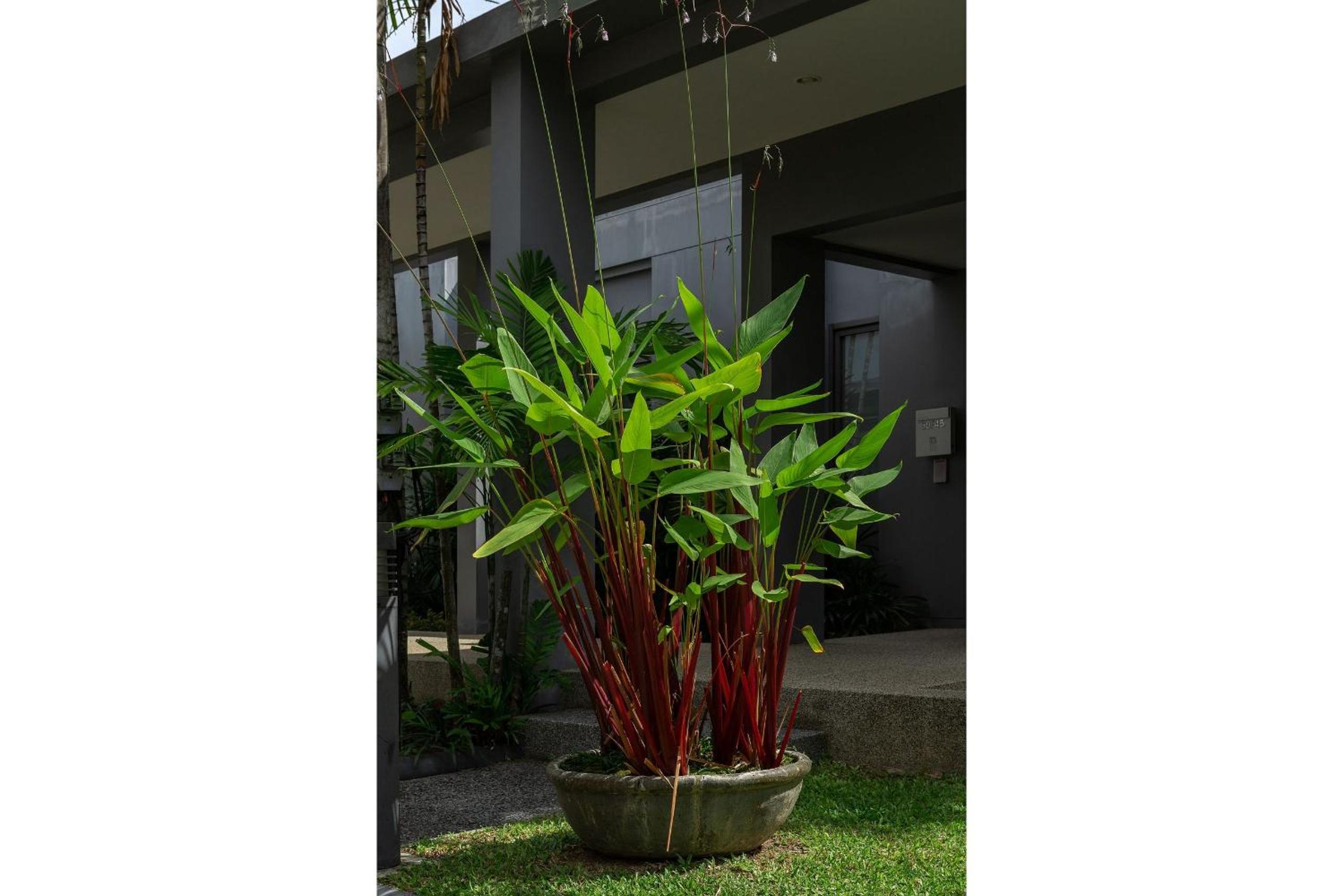 VILLA Galam 2BR Private Pool Naiharn beach