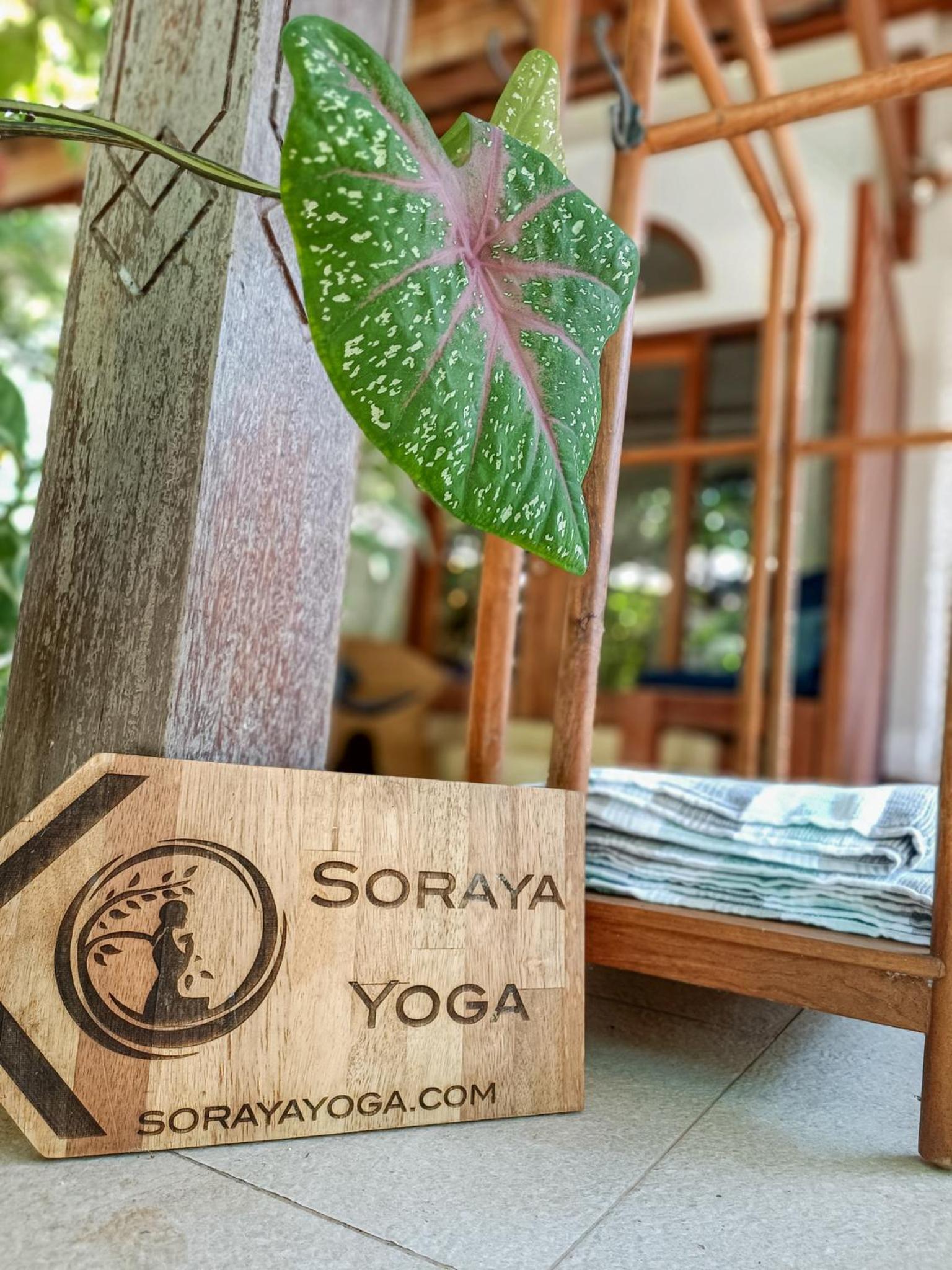 Soraya Yoga Wellness Center, Gili Trawangan - 13
