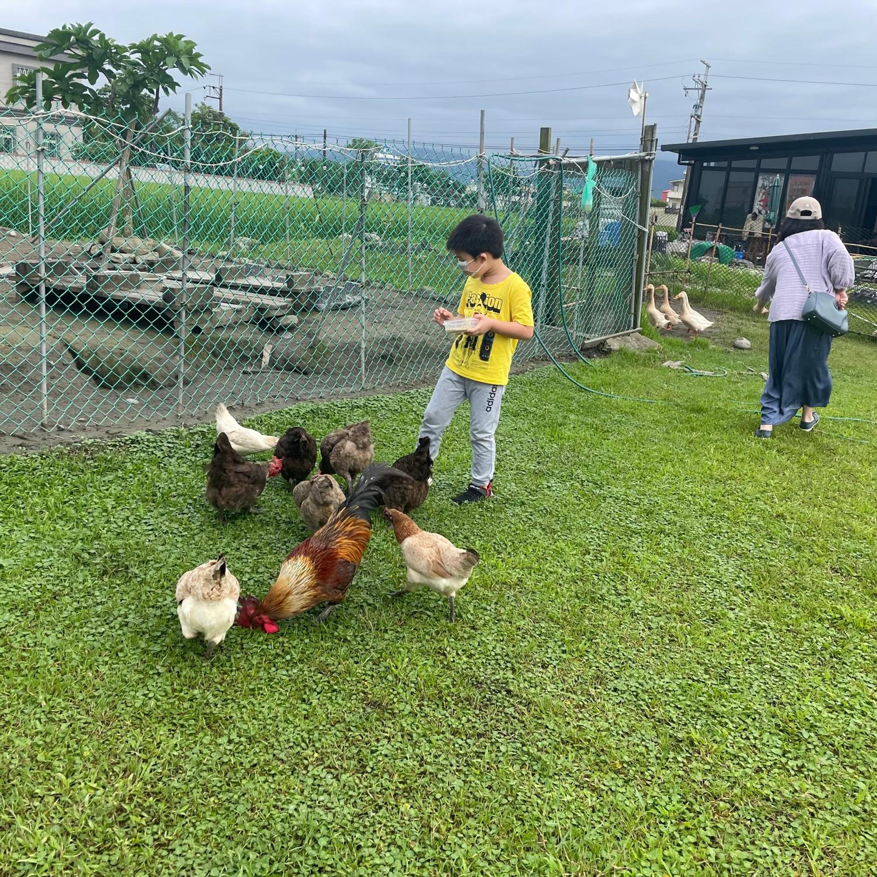 Tu Wei 192 Homestay