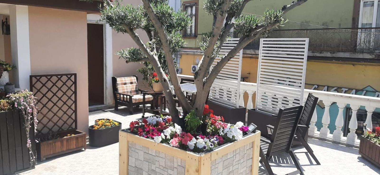 Holiday House NELLINA photo 4