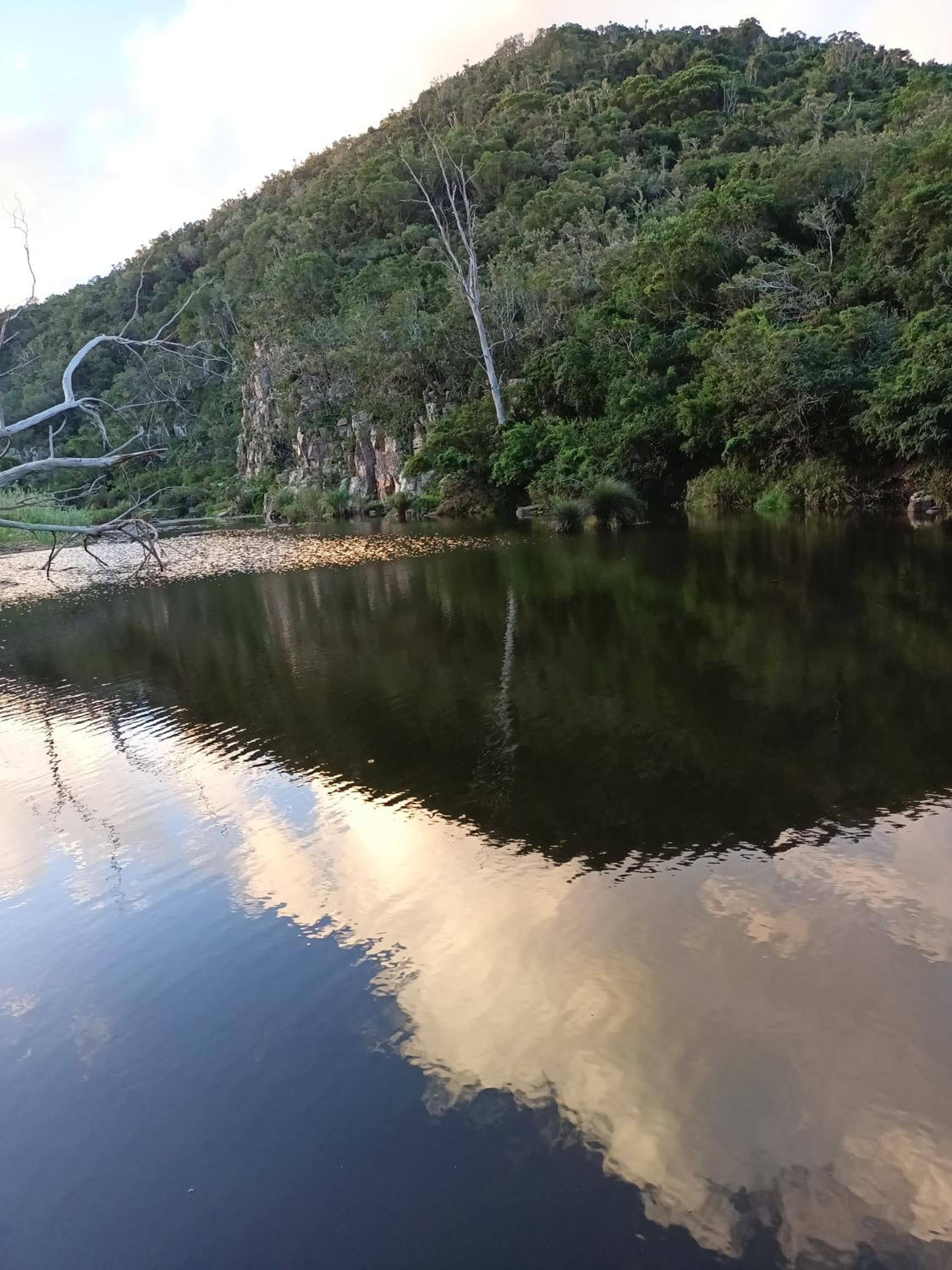 Mackenzies Accommodation