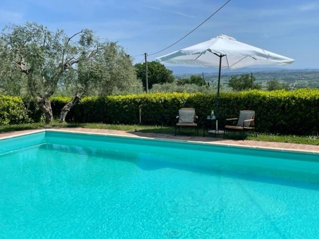 Podere Zelmira