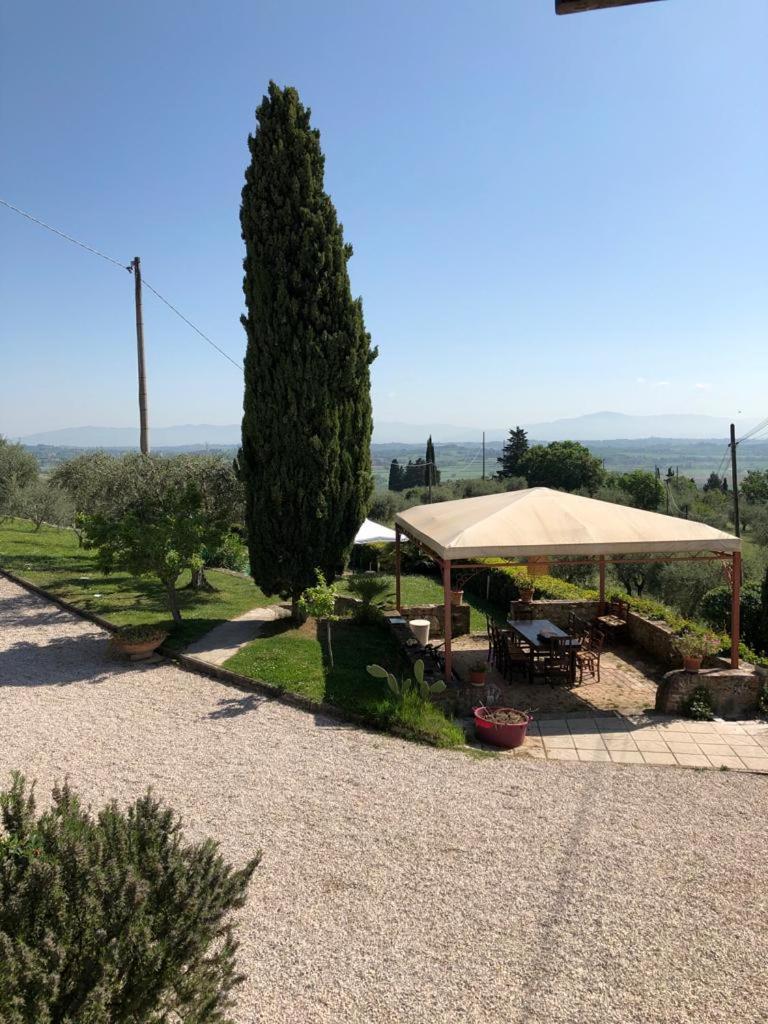 Podere Zelmira