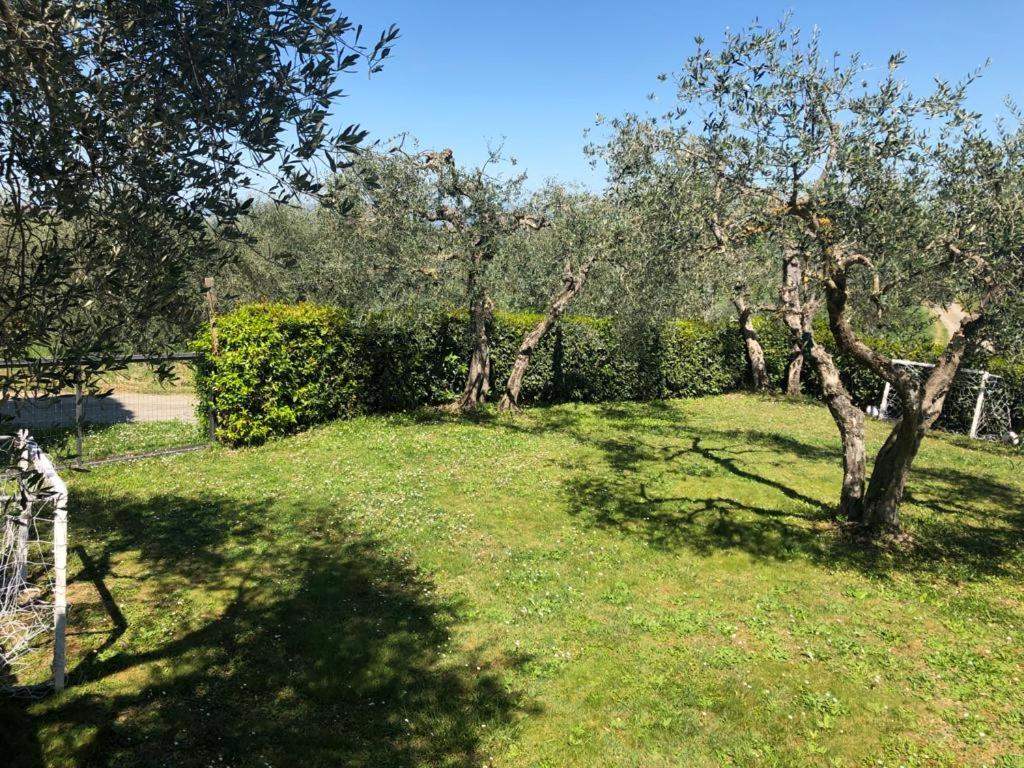 Podere Zelmira