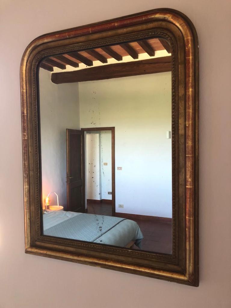 Podere Zelmira
