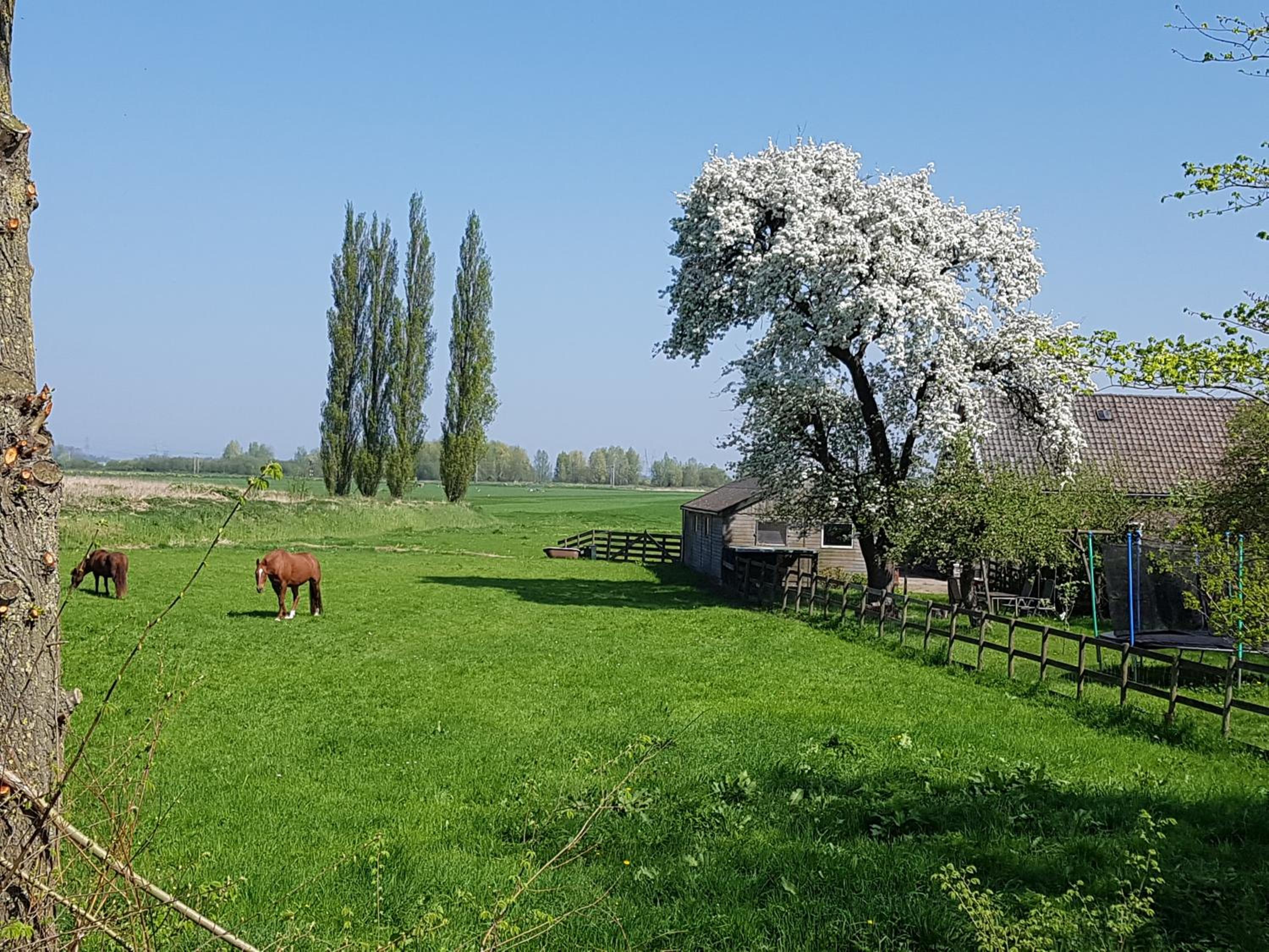 Het Voorhuis boerderij Hoeve Vrede Best view 3