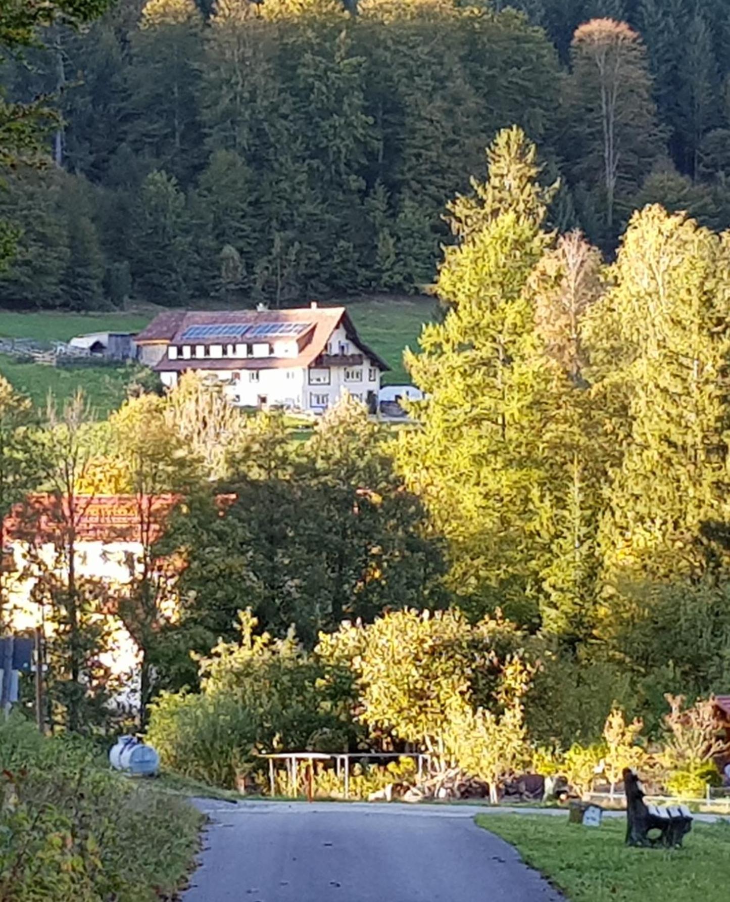Ferienhof Ziegler Salbei view 5