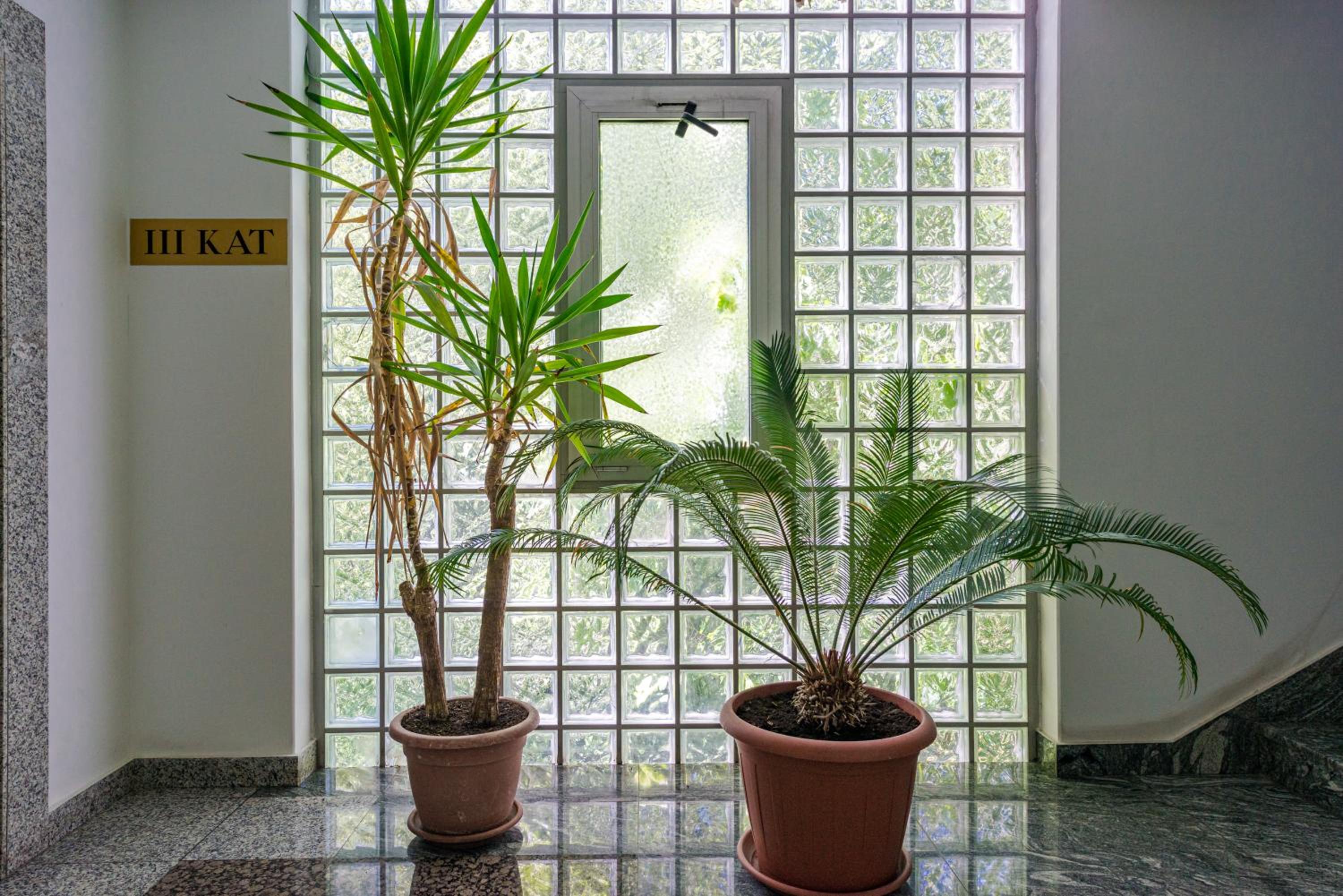 ''DiDu Studio'' 20 min walk to Old town