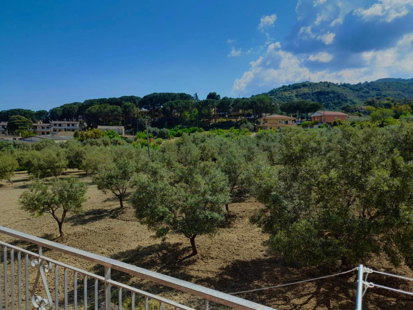 Appartamenti Antico Uliveto view 2