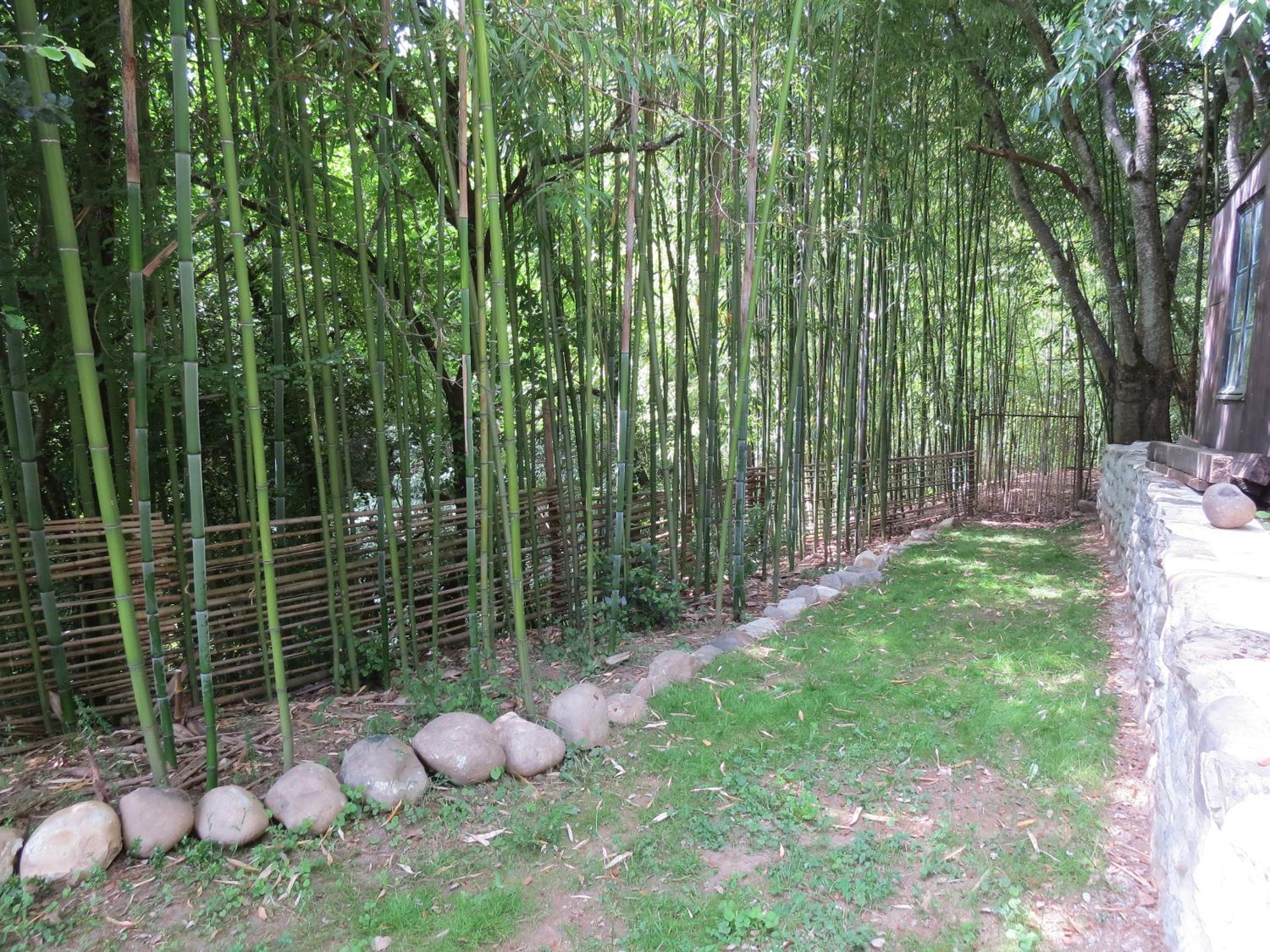 Photo 12