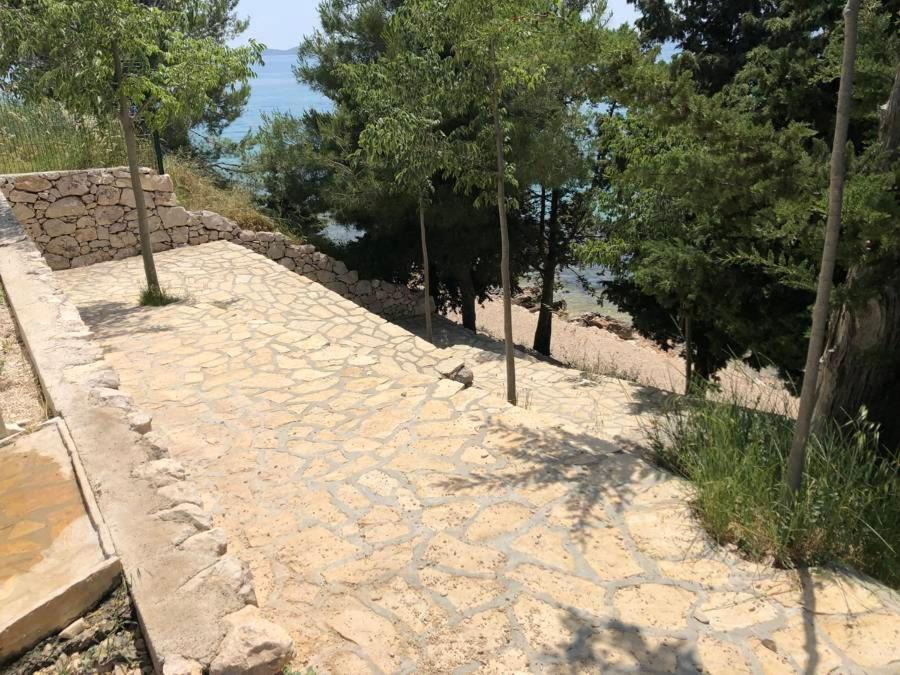 Photo 41