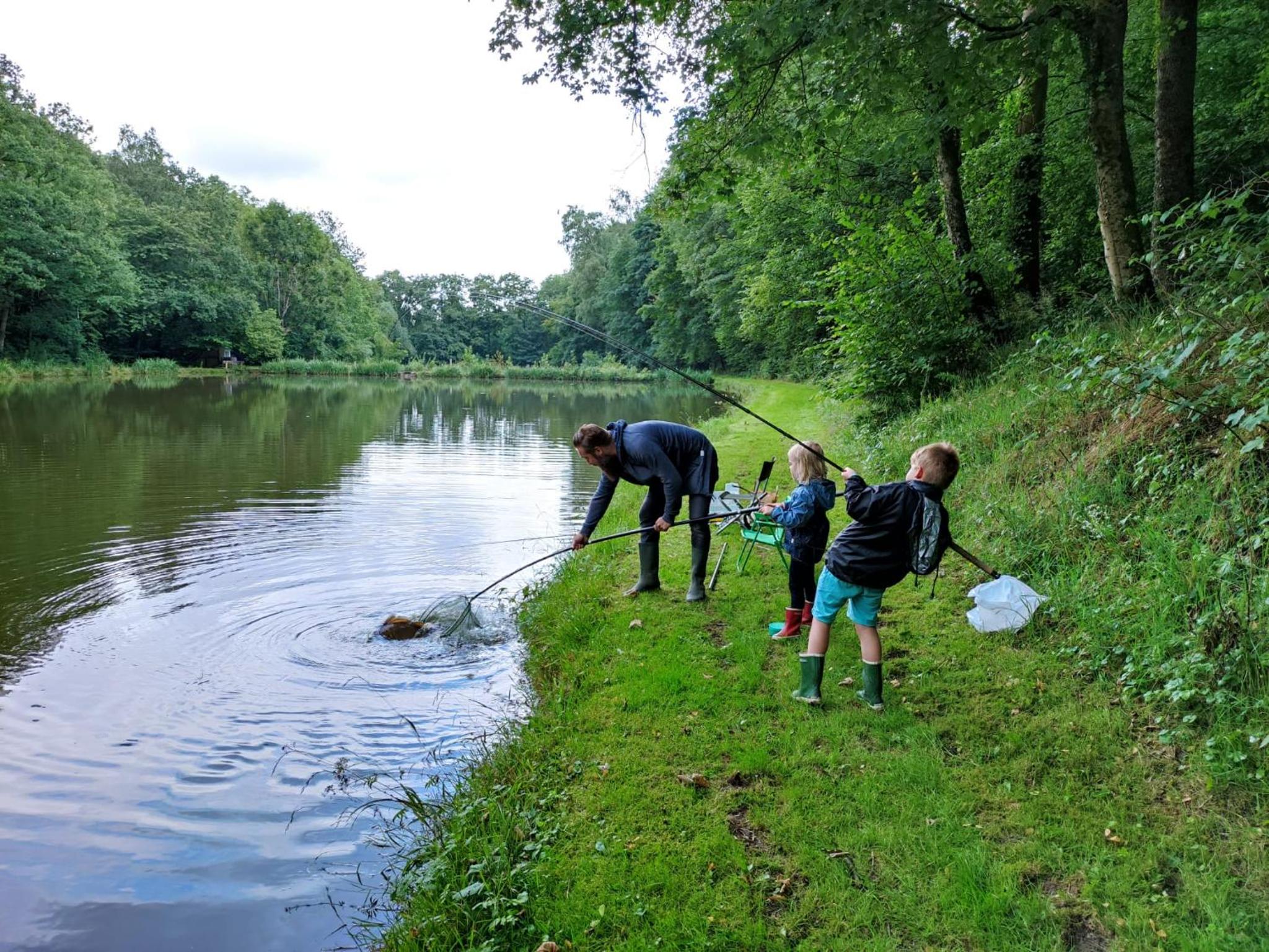 Deux étangs poissonneux au milieu des bois avec gîte moderne, la halte des deux lacs