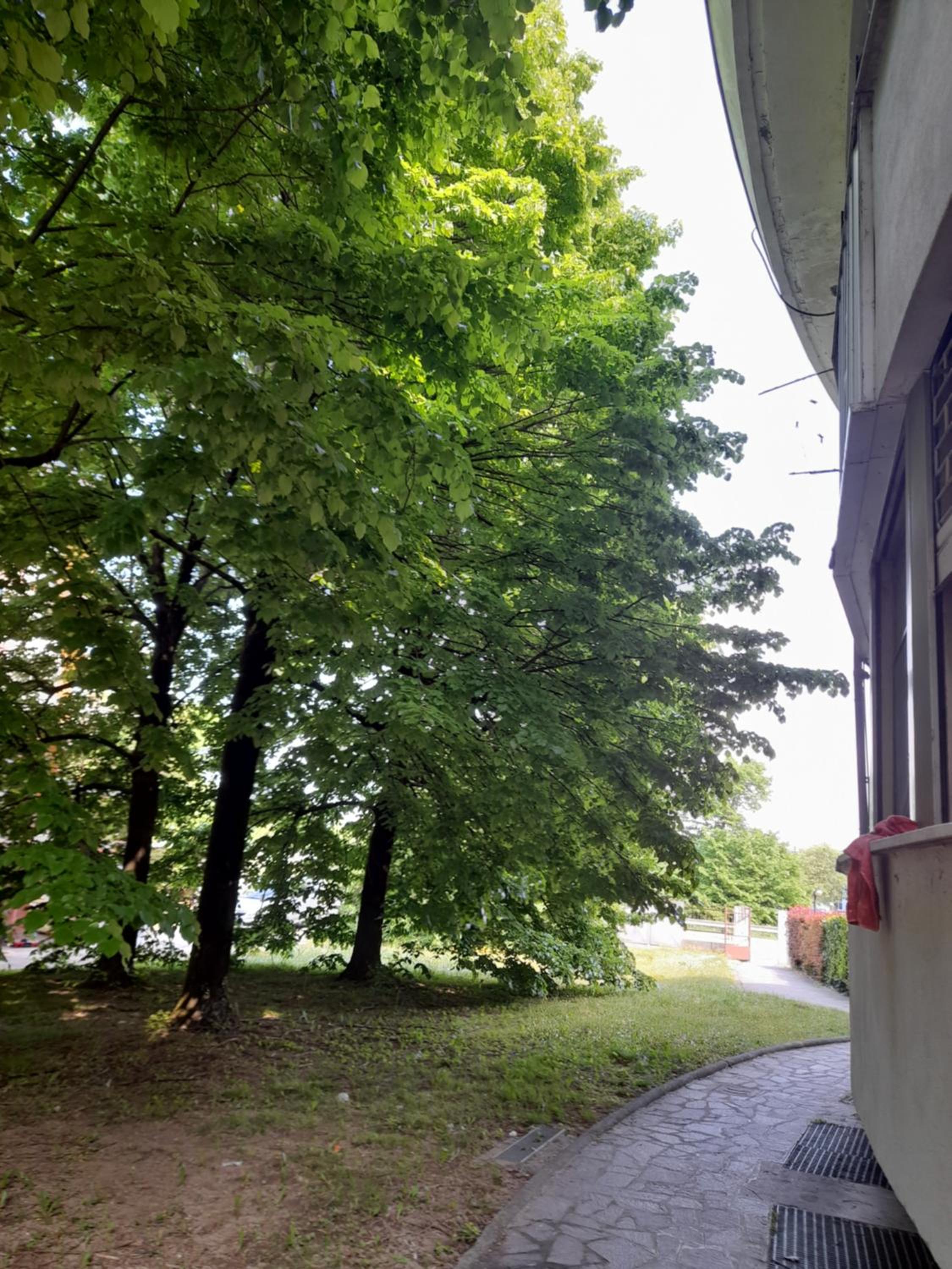 Photo 52