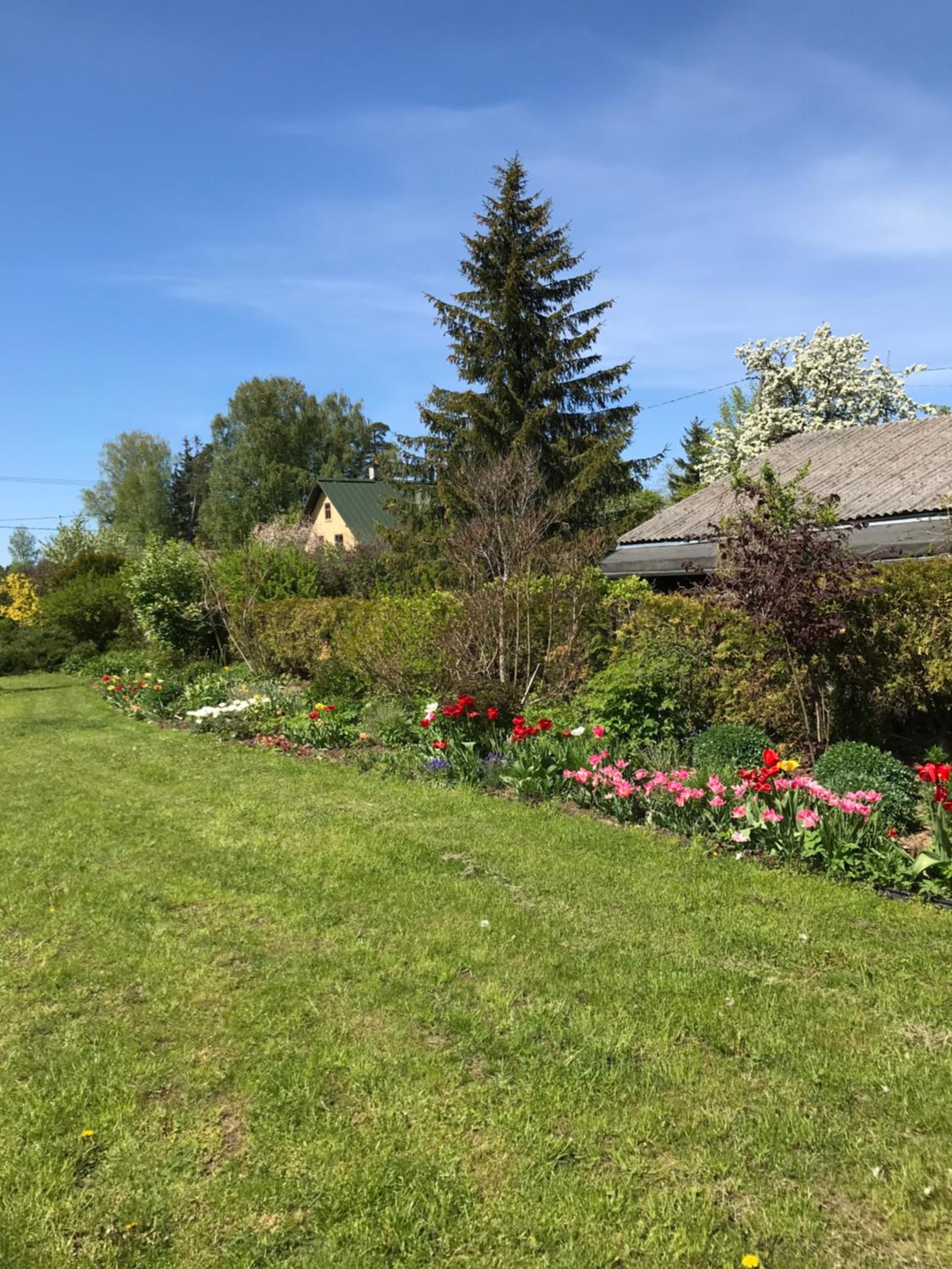 Photo 27