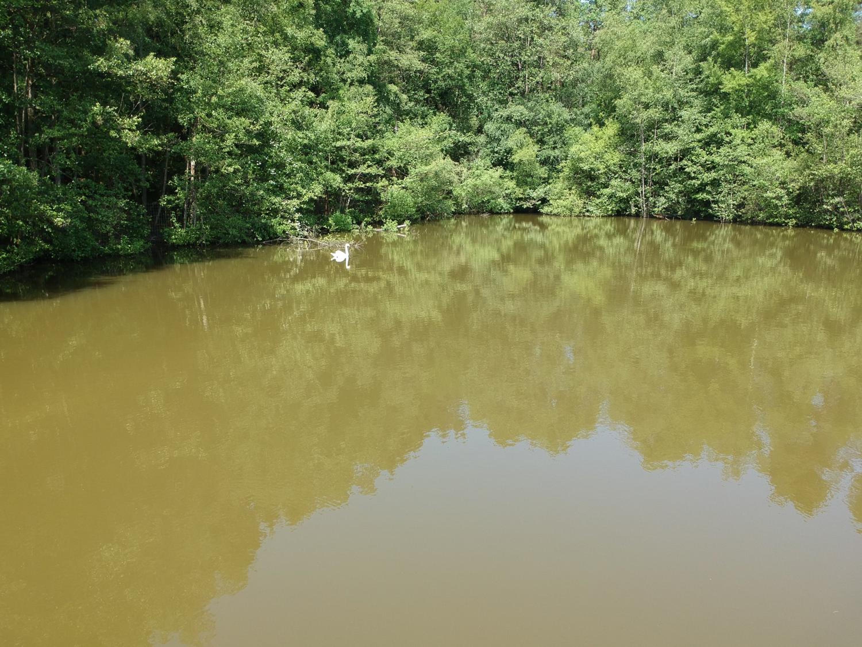Florennes Gîte neuf 150 M2 devant un grand lac privé de 2 hectares poissonneux au milieu des bois