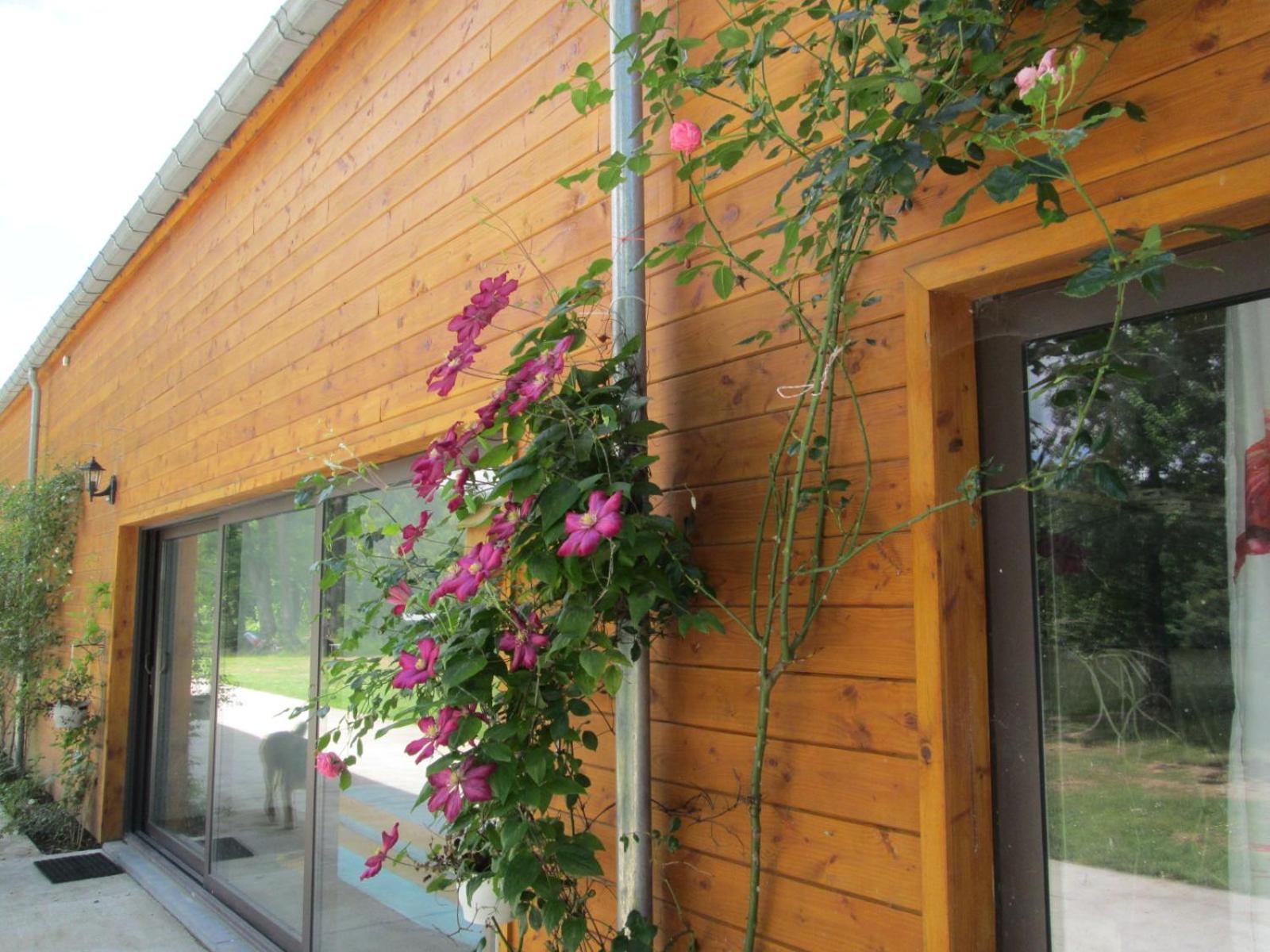 Florennes Gîte neuf 150 M2 devant un grand lac privé de 2 hectares poissonneux au milieu des bois