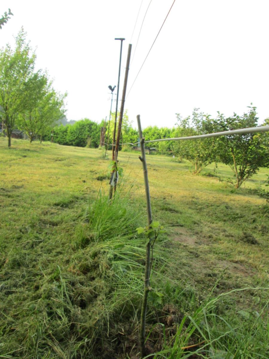 Florennes Gîte neuf 150 M2 devant un grand lac privé de 2 hectares poissonneux au milieu des bois