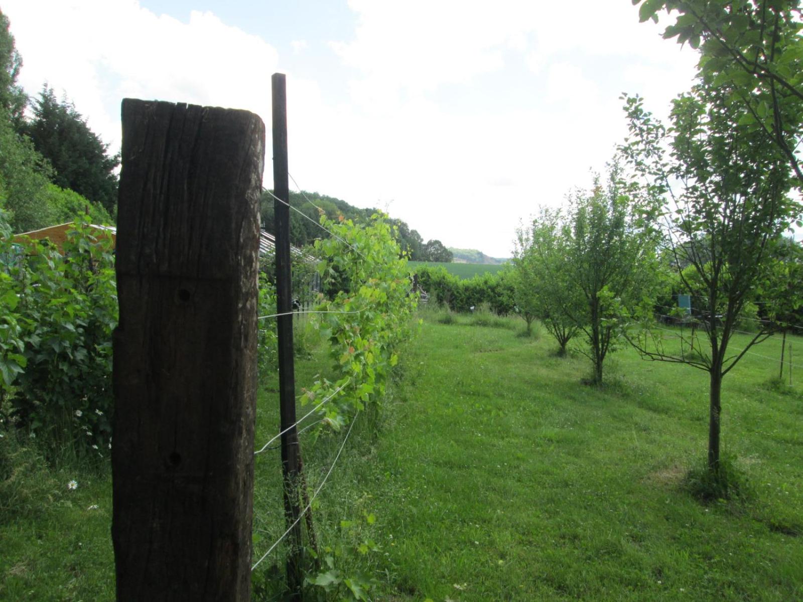 Florennes Gîte neuf 150 M2 devant un grand lac privé de 2 hectares poissonneux au milieu des bois