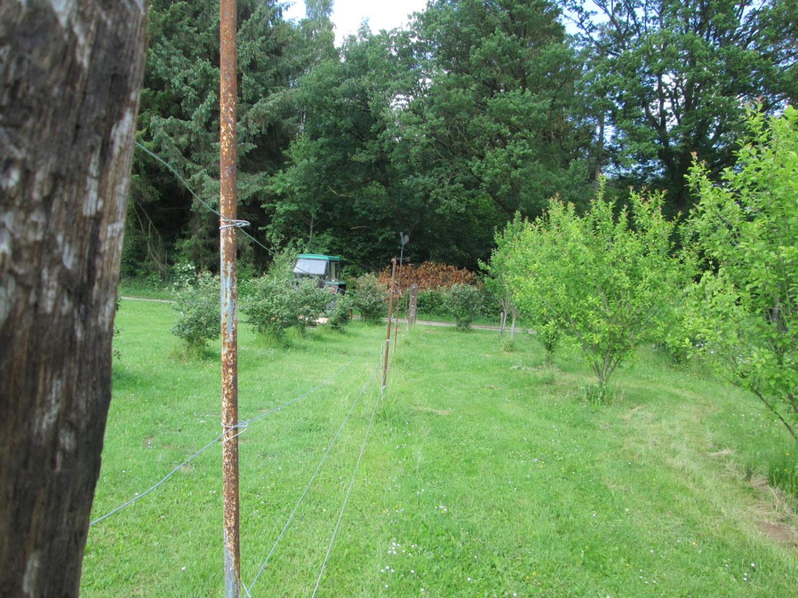 Florennes Gîte neuf 150 M2 devant un grand lac privé de 2 hectares poissonneux au milieu des bois