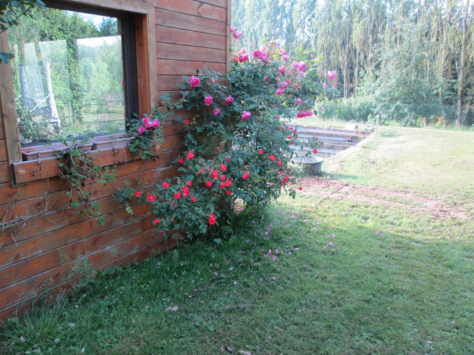 Florennes Gîte neuf 150 M2 devant un grand lac privé de 2 hectares poissonneux au milieu des bois
