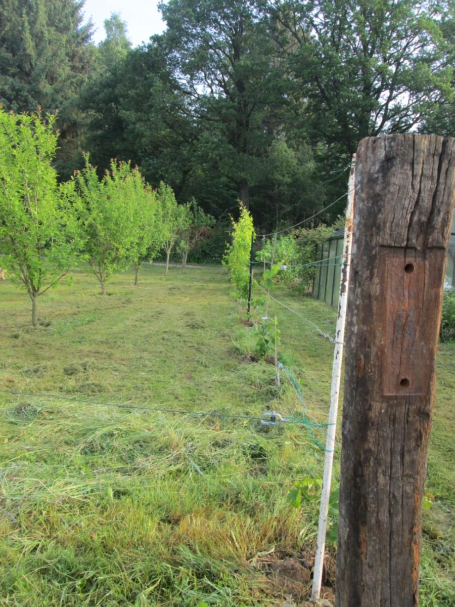 Florennes Gîte neuf 150 M2 devant un grand lac privé de 2 hectares poissonneux au milieu des bois