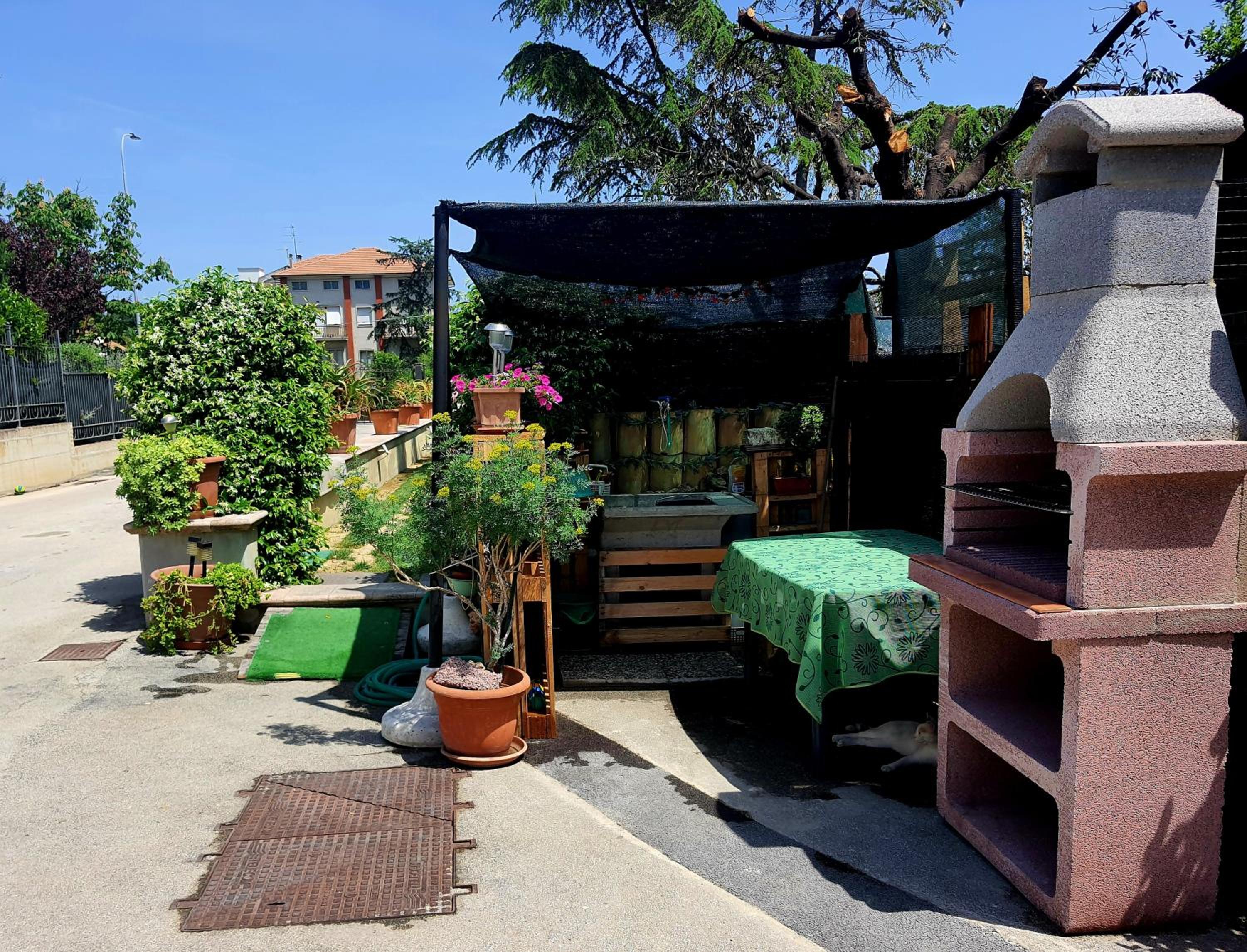 Itaca