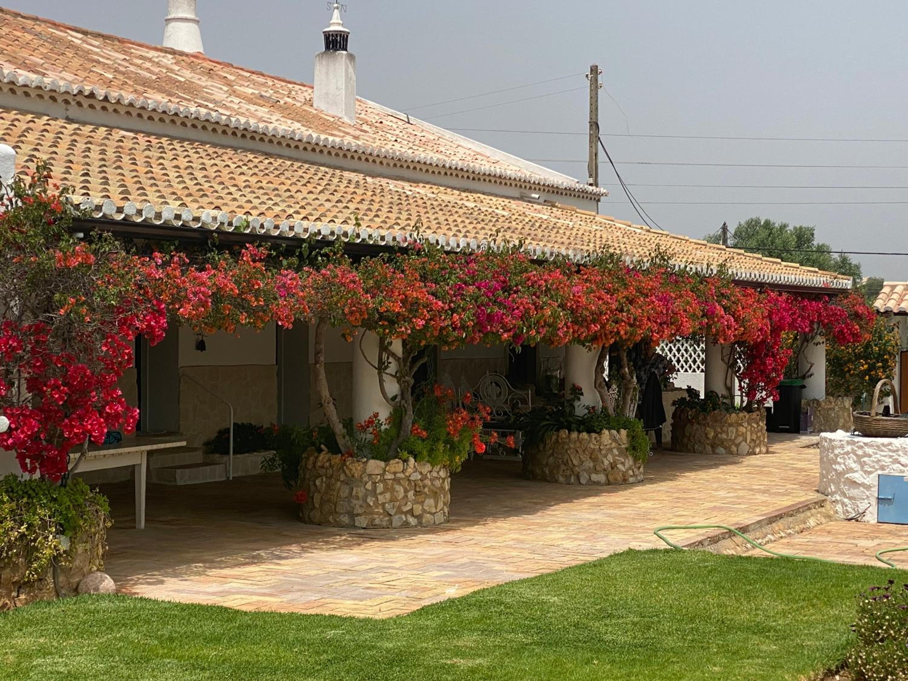 Quinta Verde Albufeira, photo 13