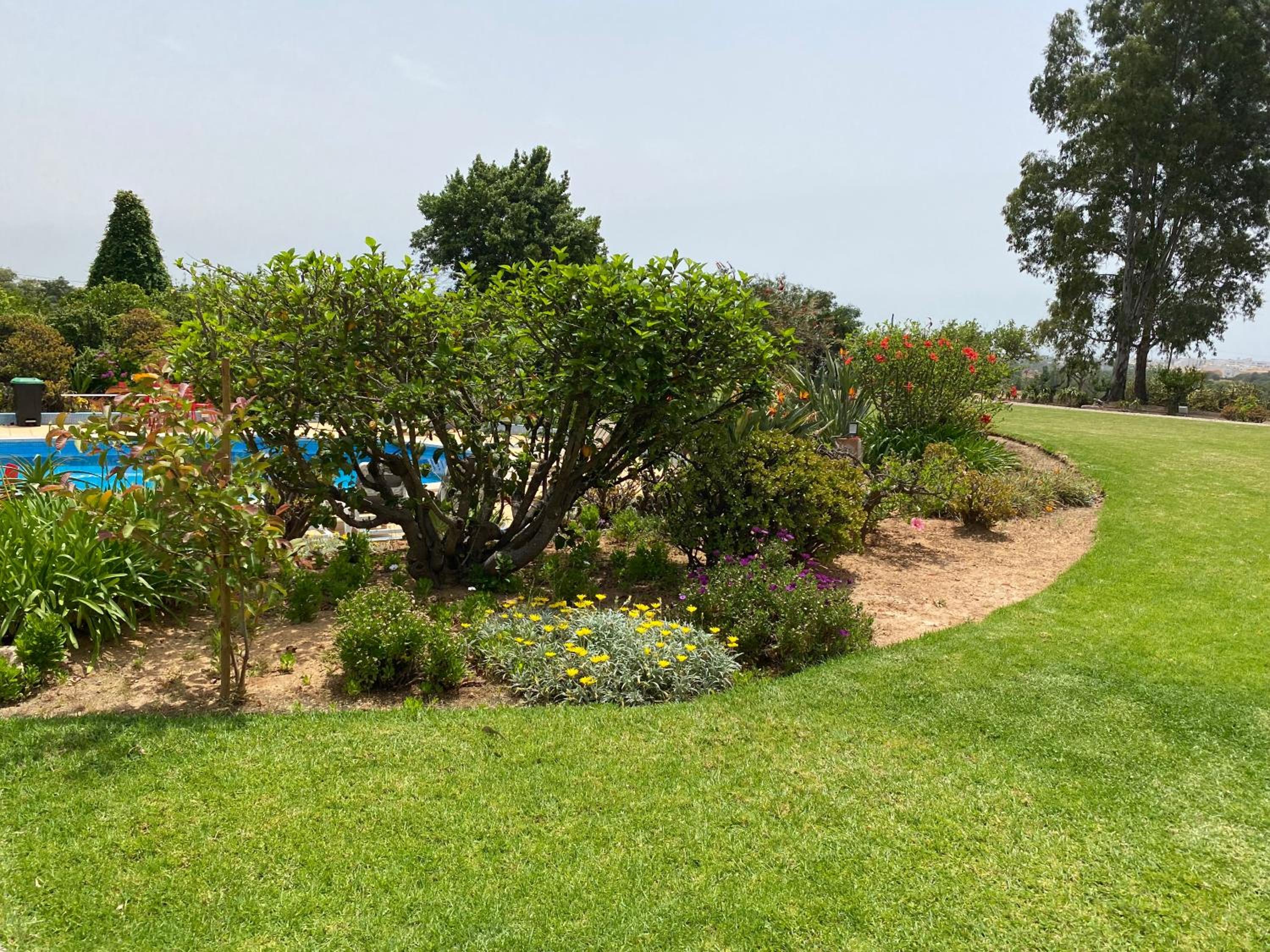Quinta Verde Albufeira, photo 44