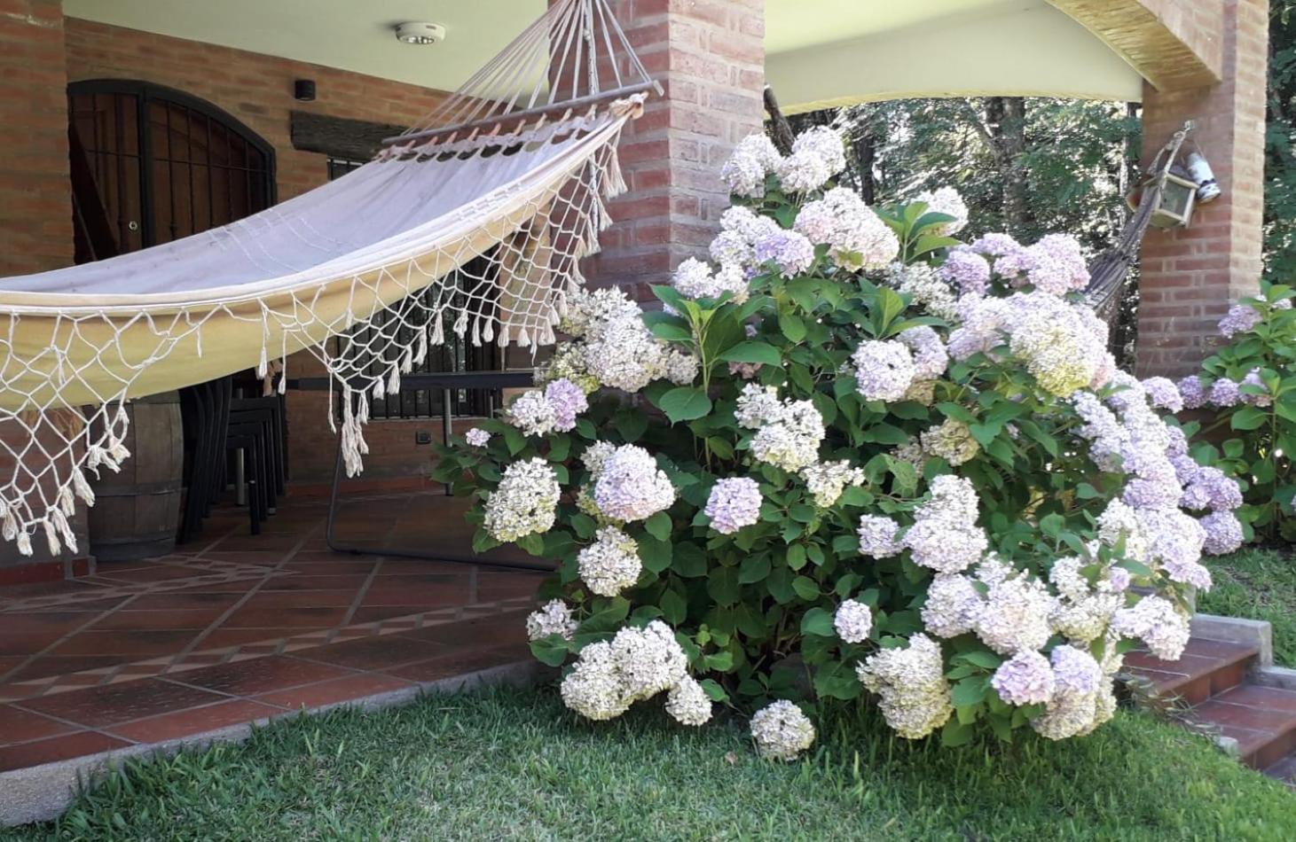 La Mexicana - Alta Gracia - Image 4