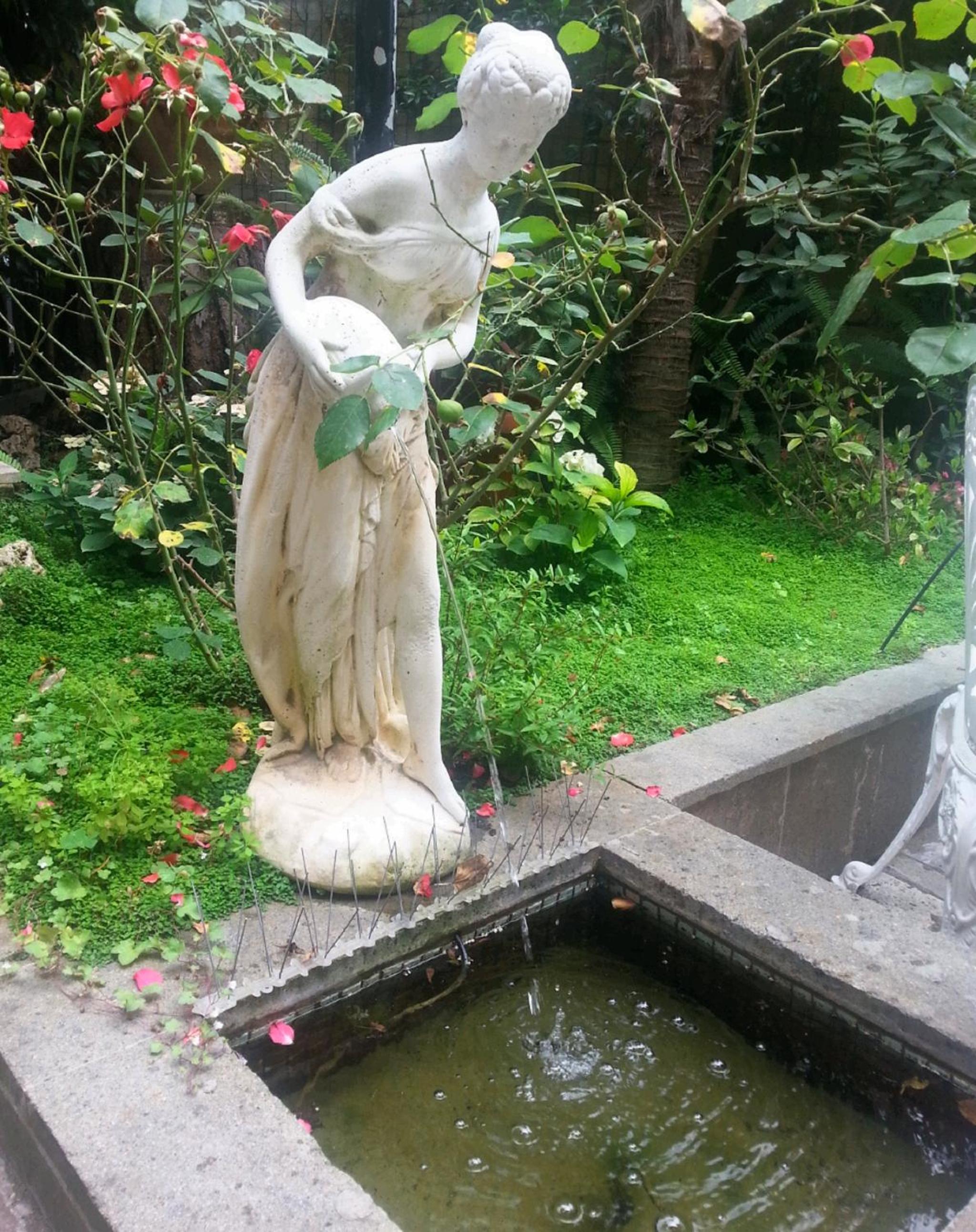 Guest House Il Limone Nascosto