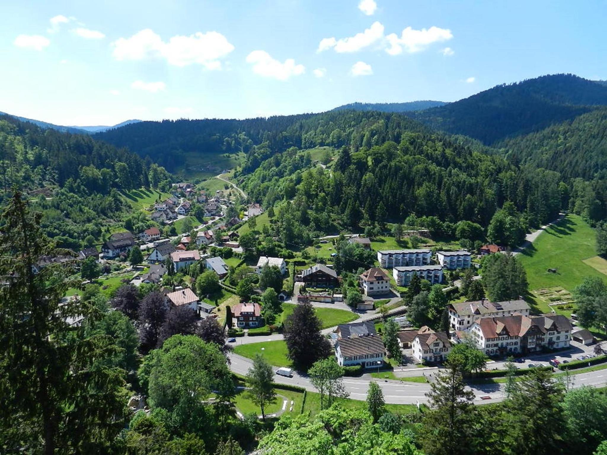 Ferienwohnungen in Schönmünzach