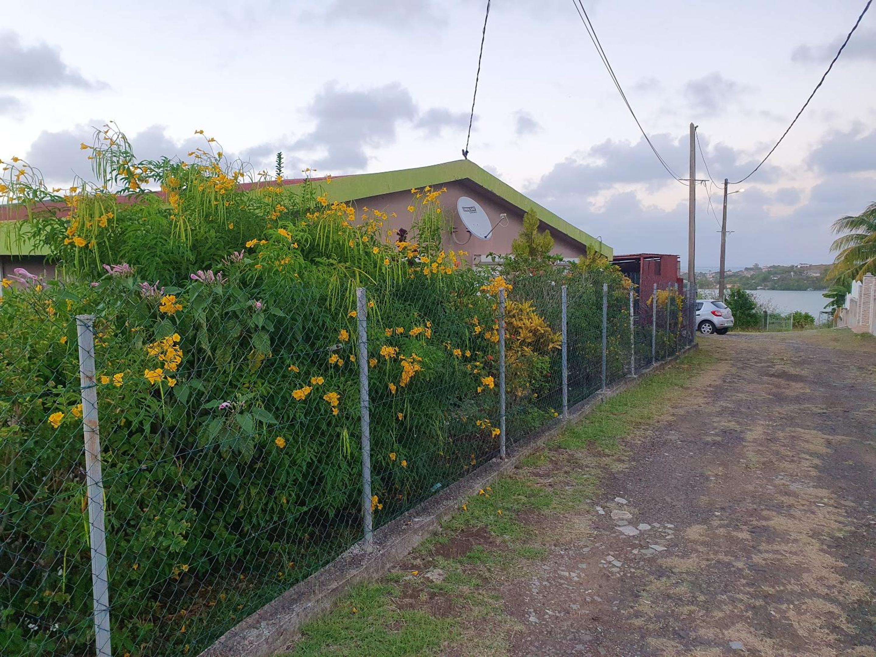 Appartement charmant au Vauclin avec vue sur jardin 55 m² view 4