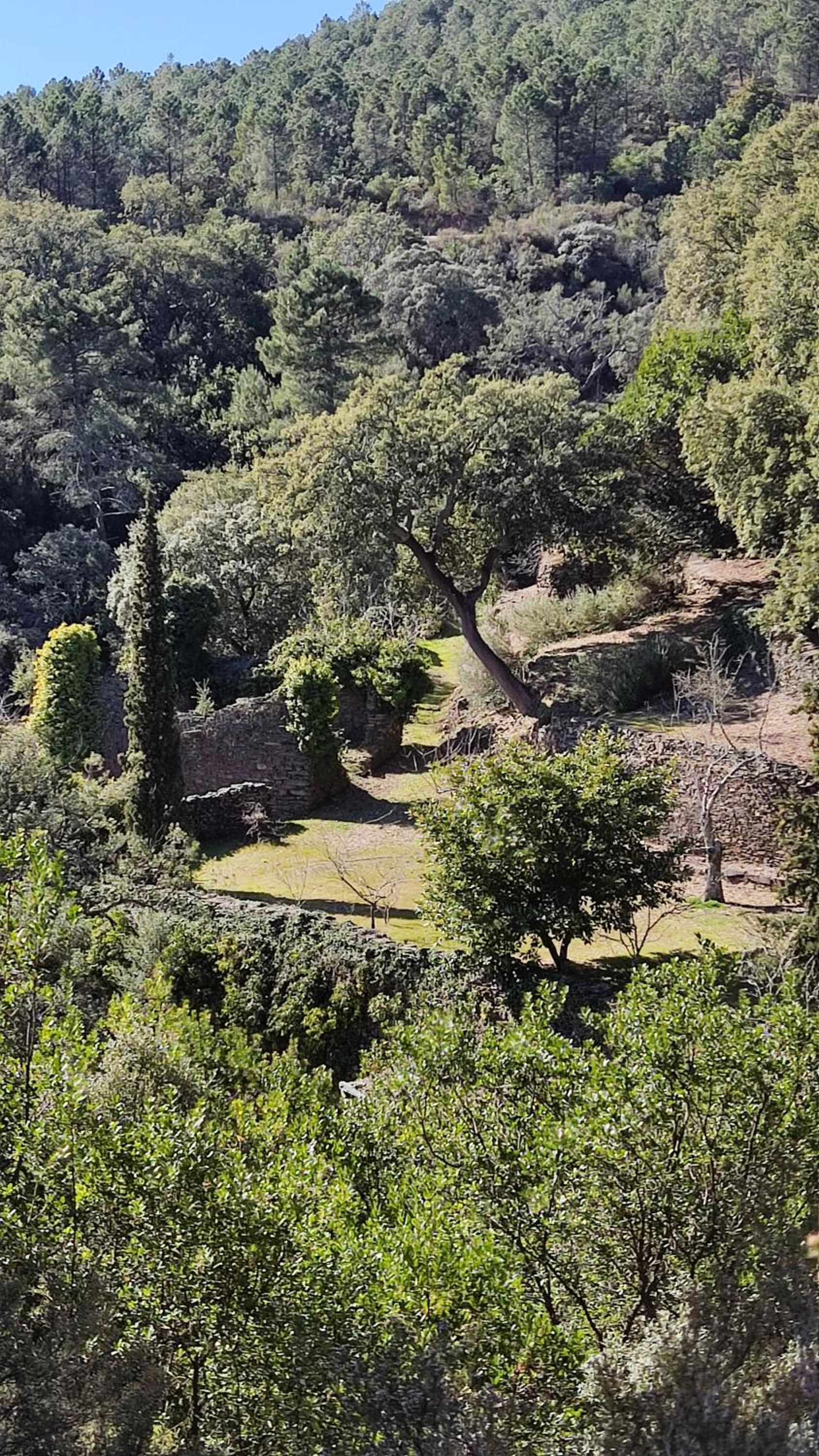 Apartamentos Rurales El Prado