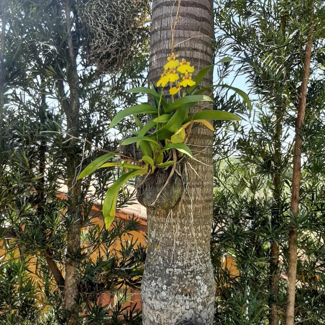 Chácara em Atibaia