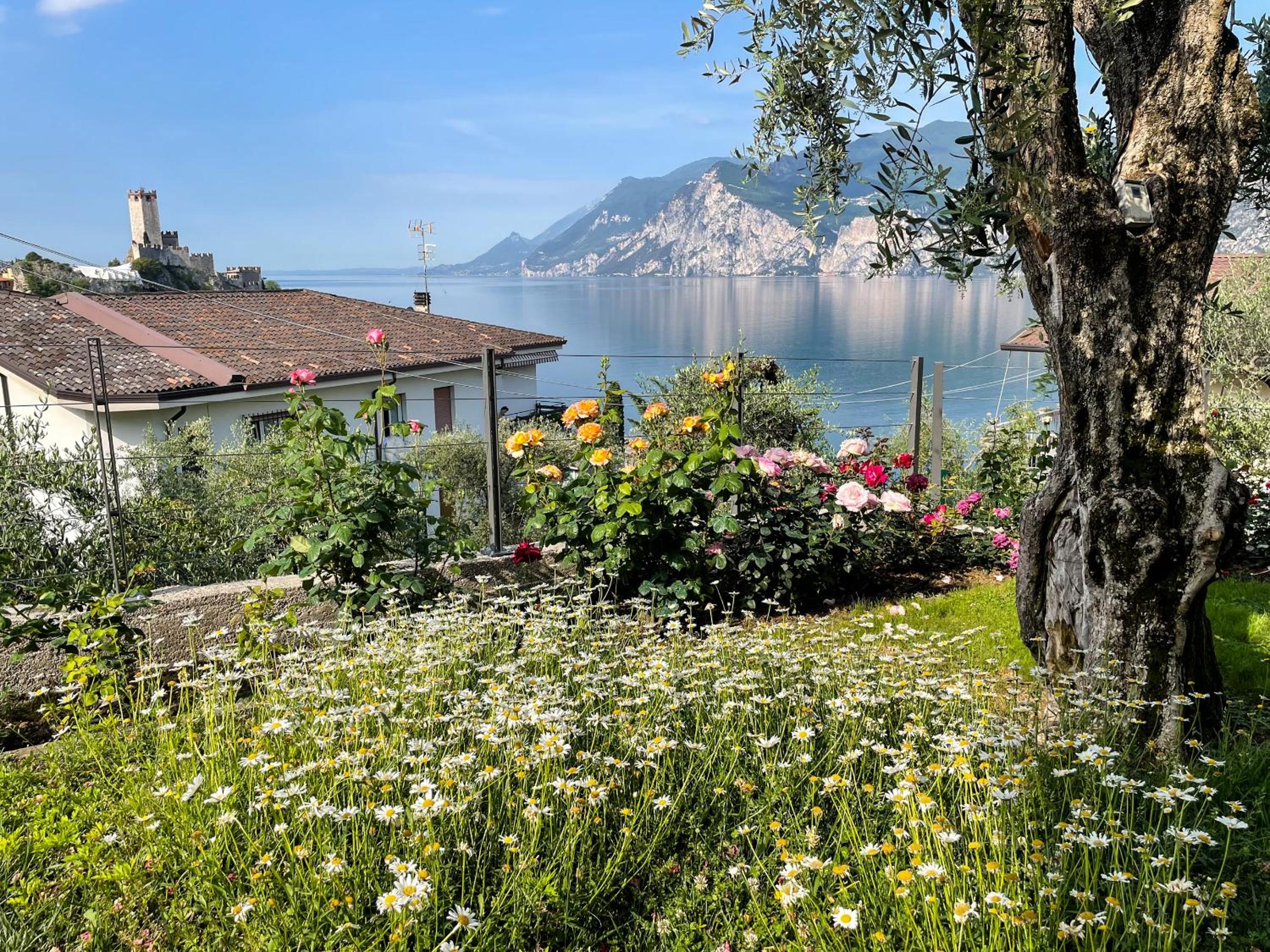 Appartamenti Villa Eden photo 5