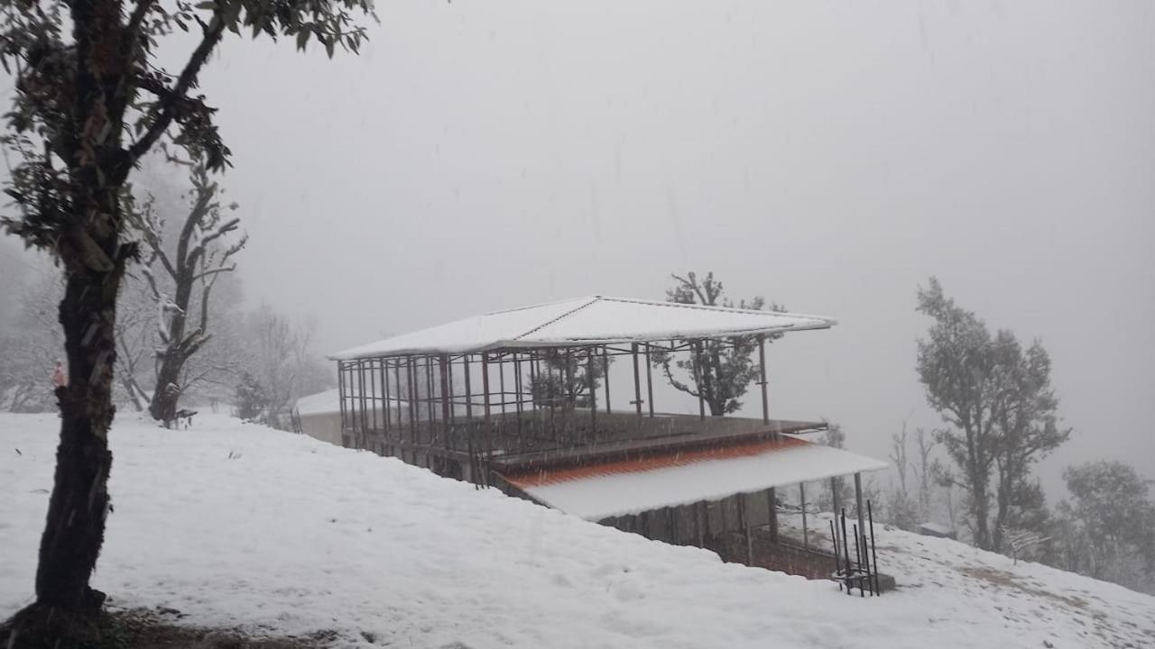 Photo 14