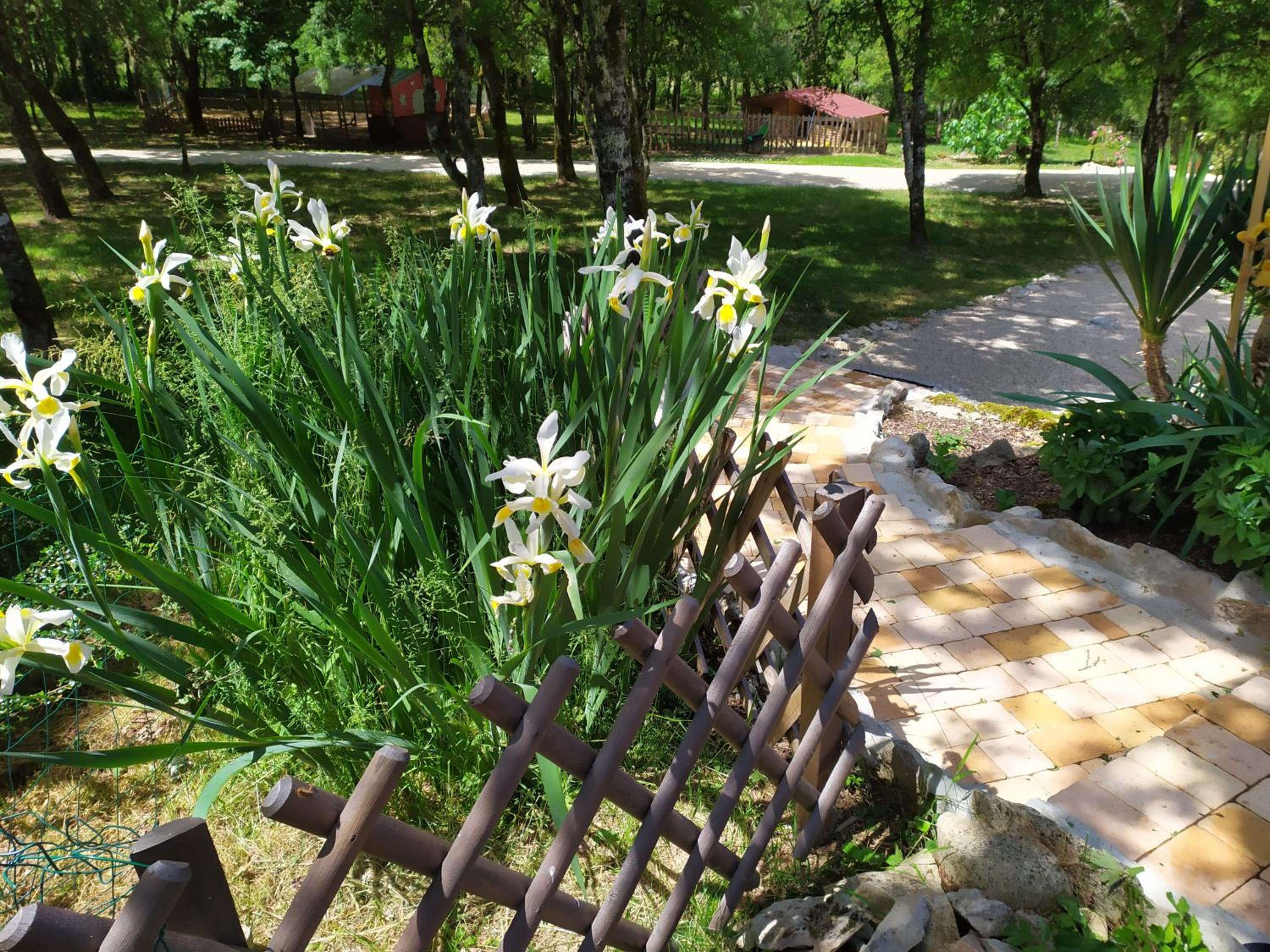 Photo 7