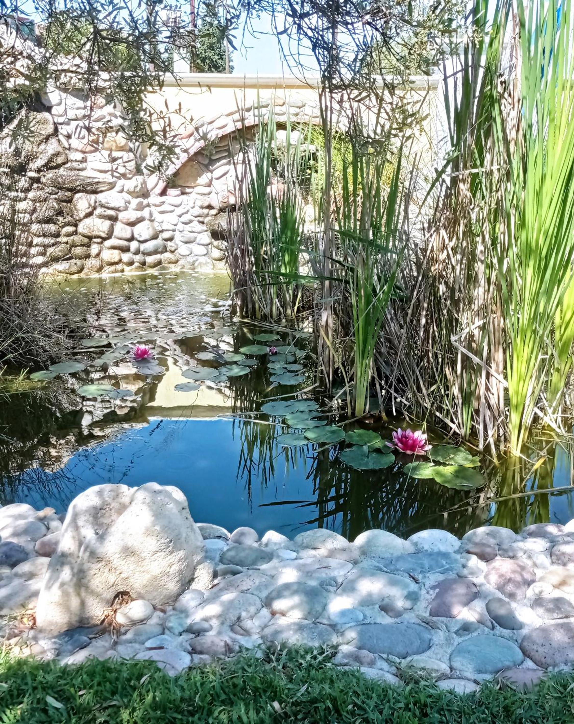 Apartments Alexandros