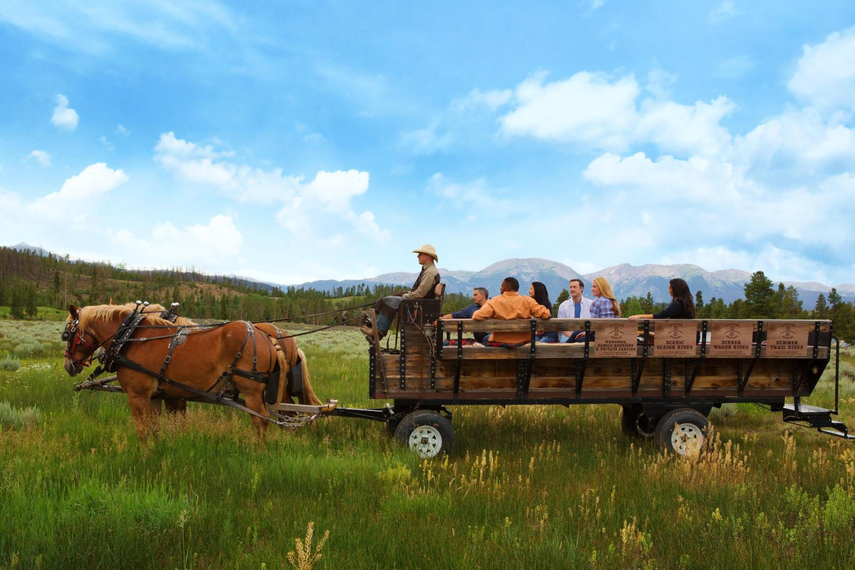 activities & amenities