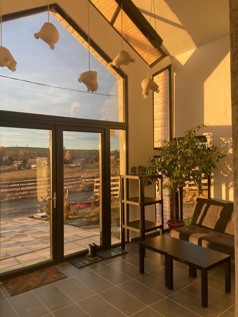 Pensiunea CASA SPANDO view 4