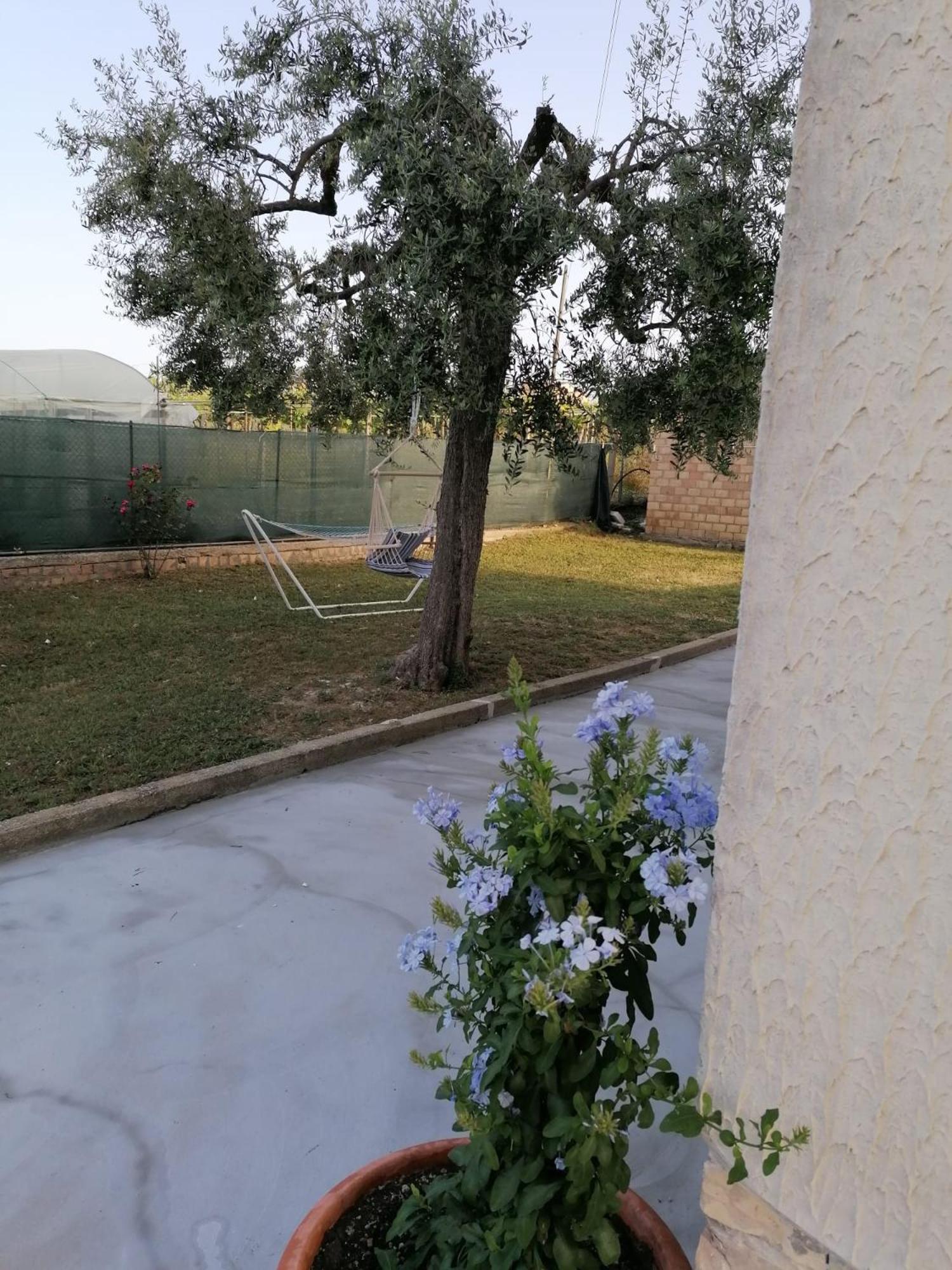 Photo 36