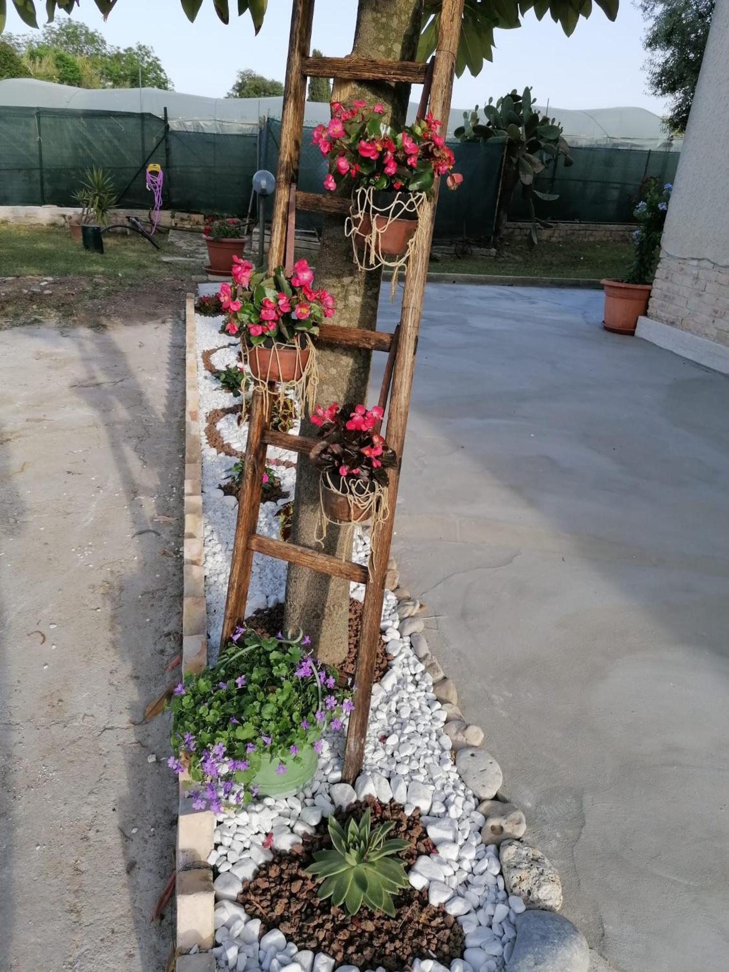 Photo 38