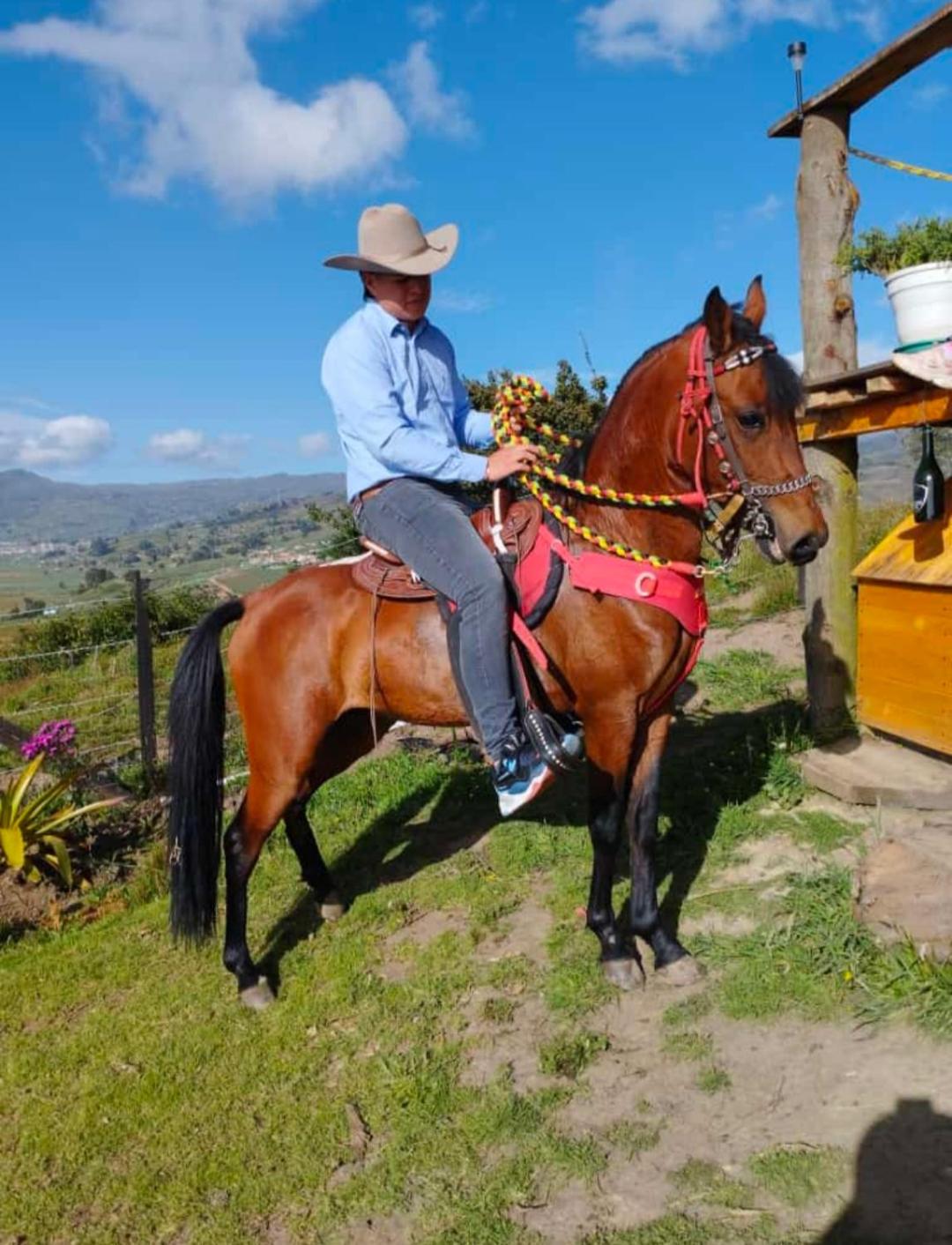 Cabañas el Olimpo