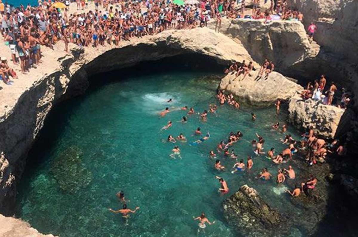 LaChorisia