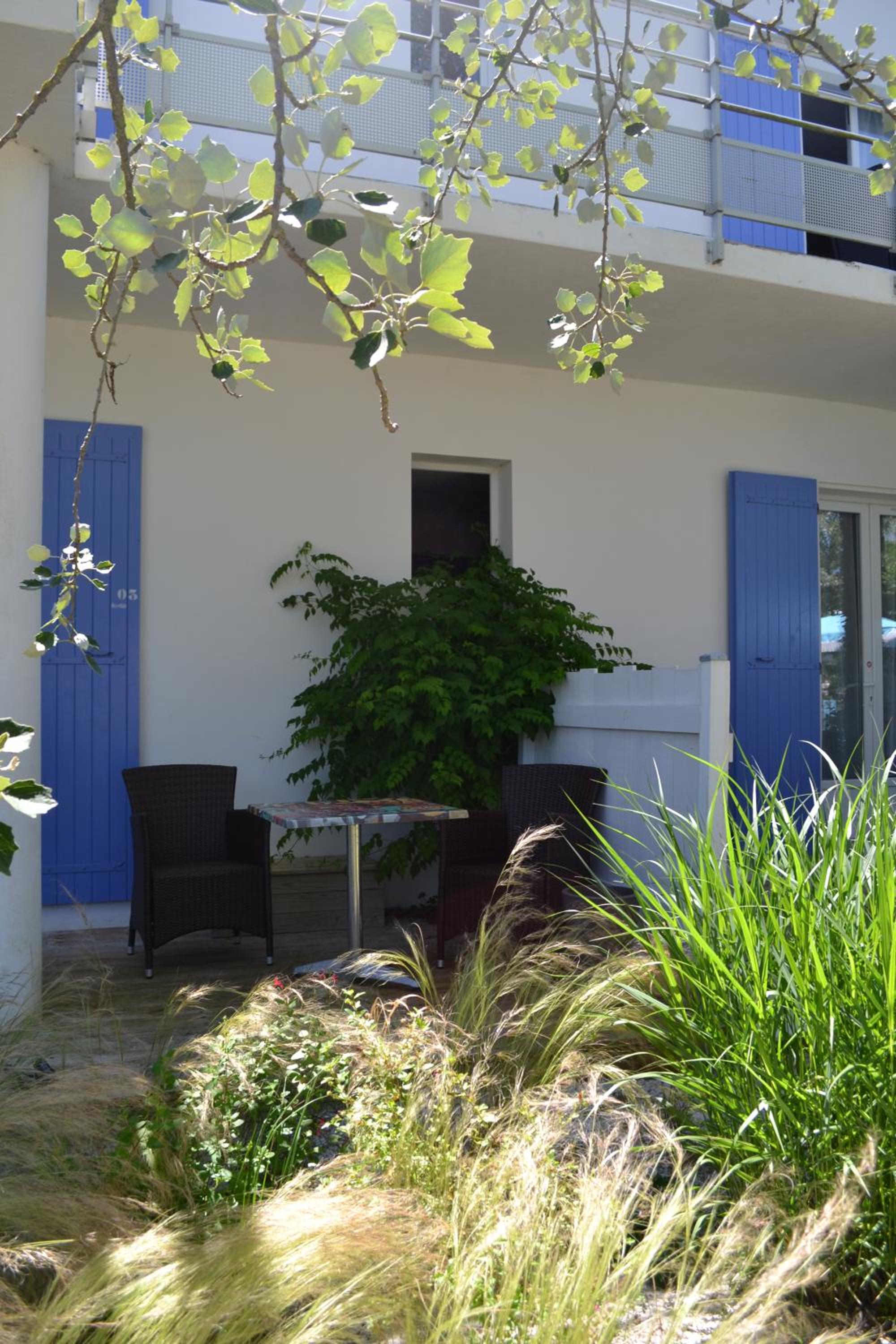 garden