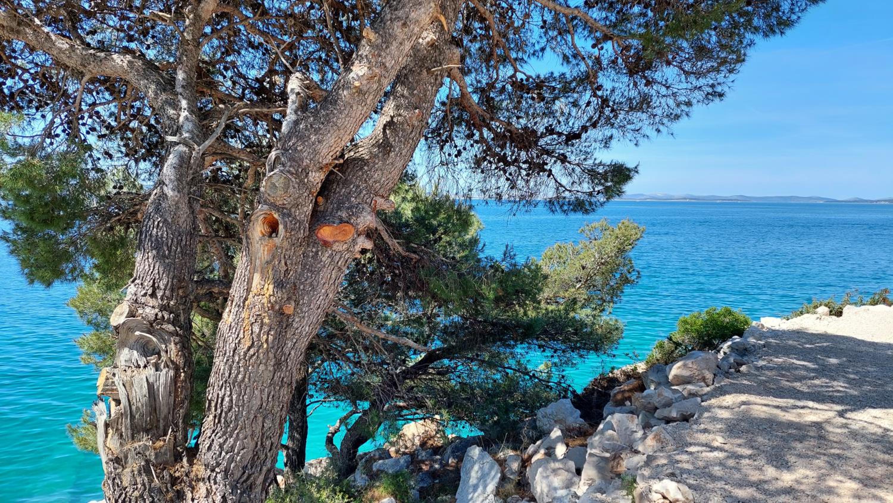 Apartmani Stipe