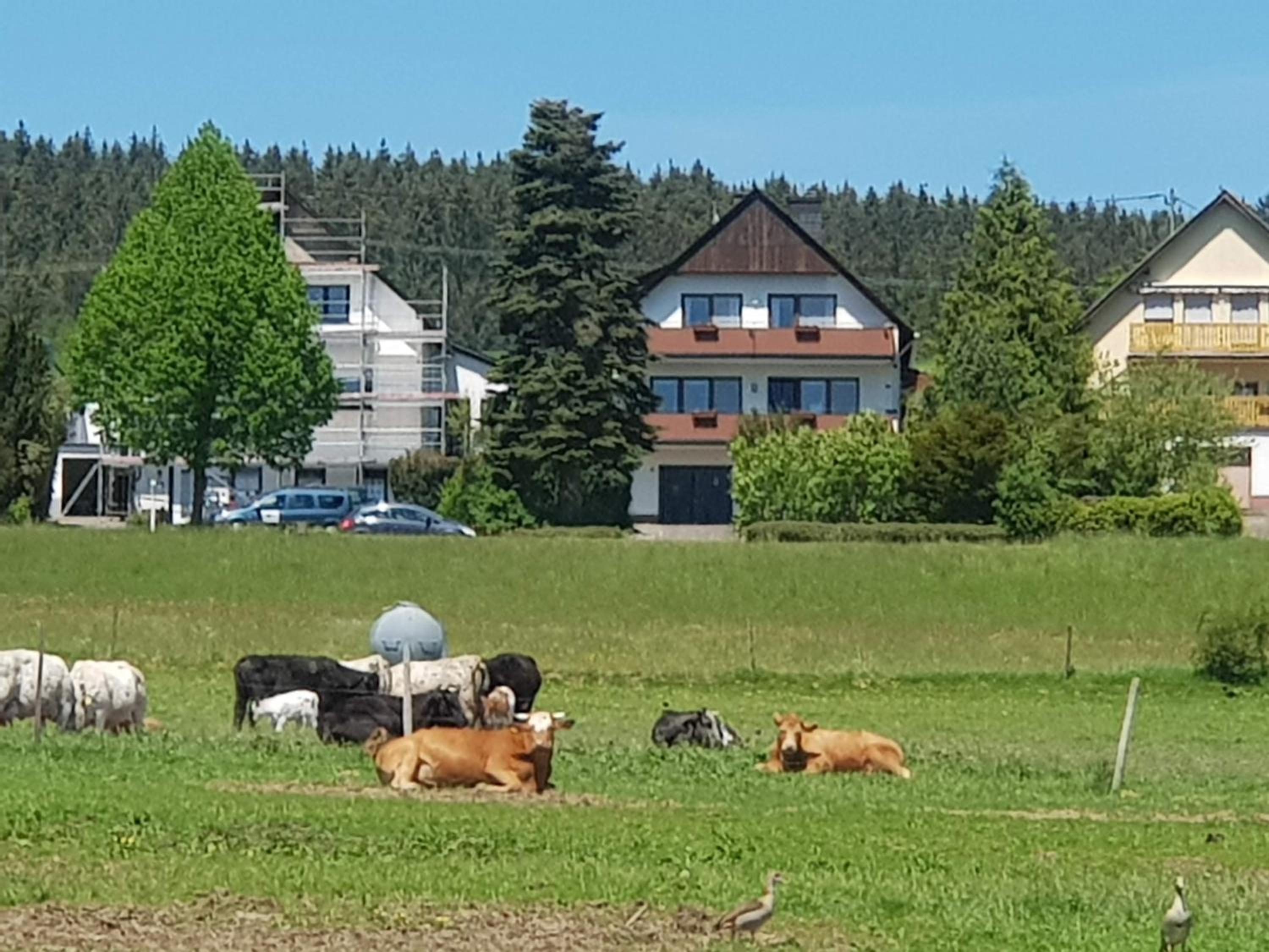 Vakantieappartement Achat Duitsland