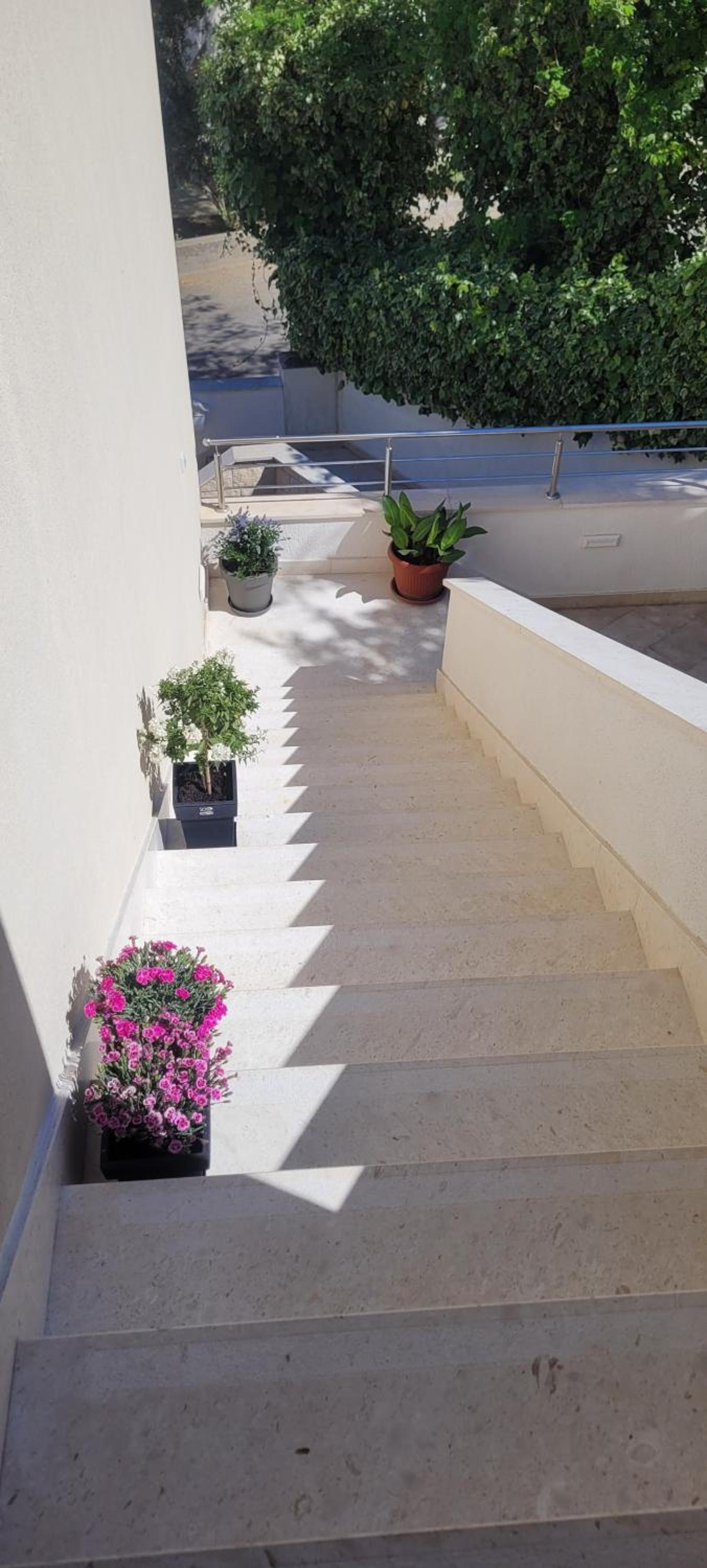 Apartments Riljic view 5