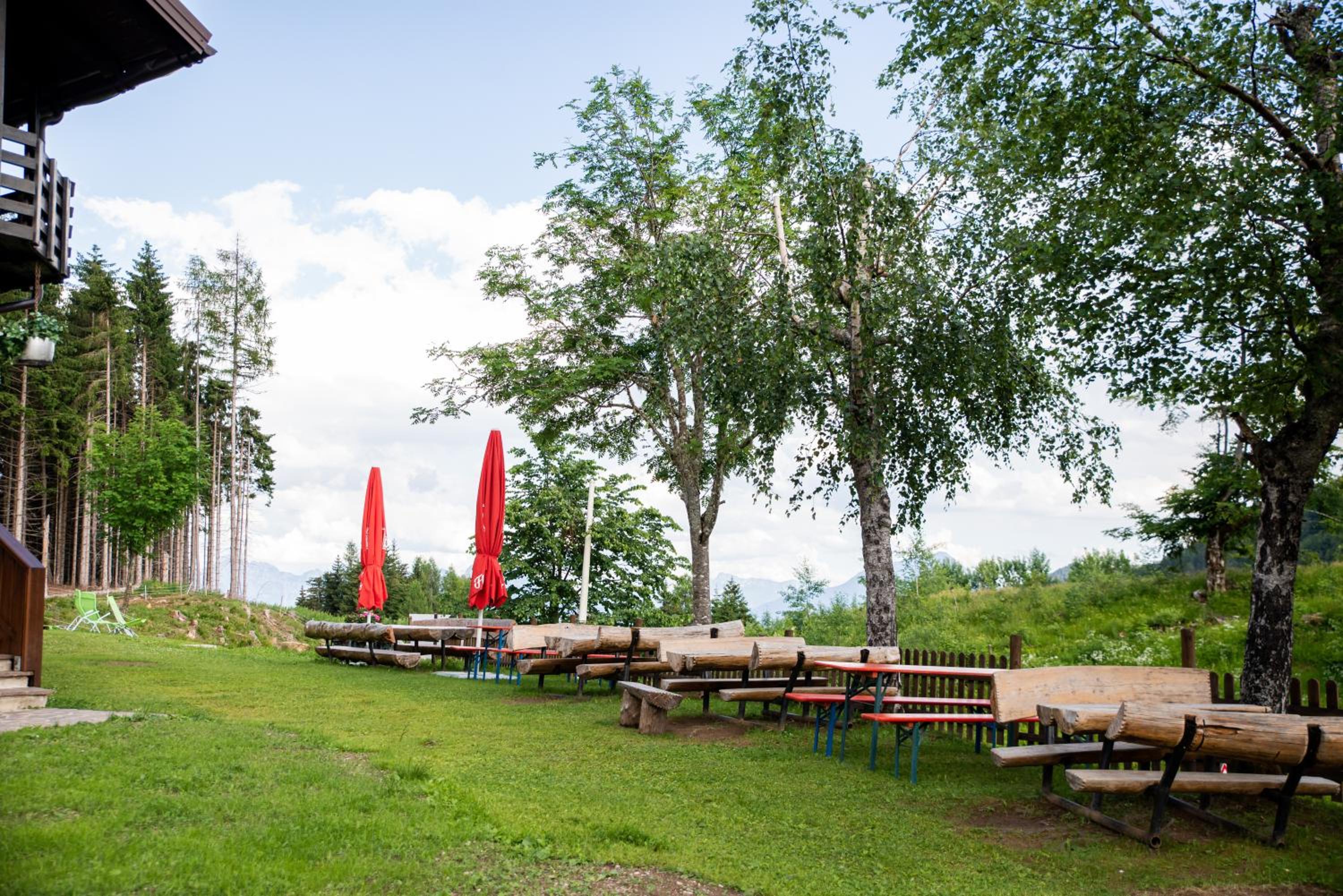 La Dane Zoncolan aparthotel & spa photo 1